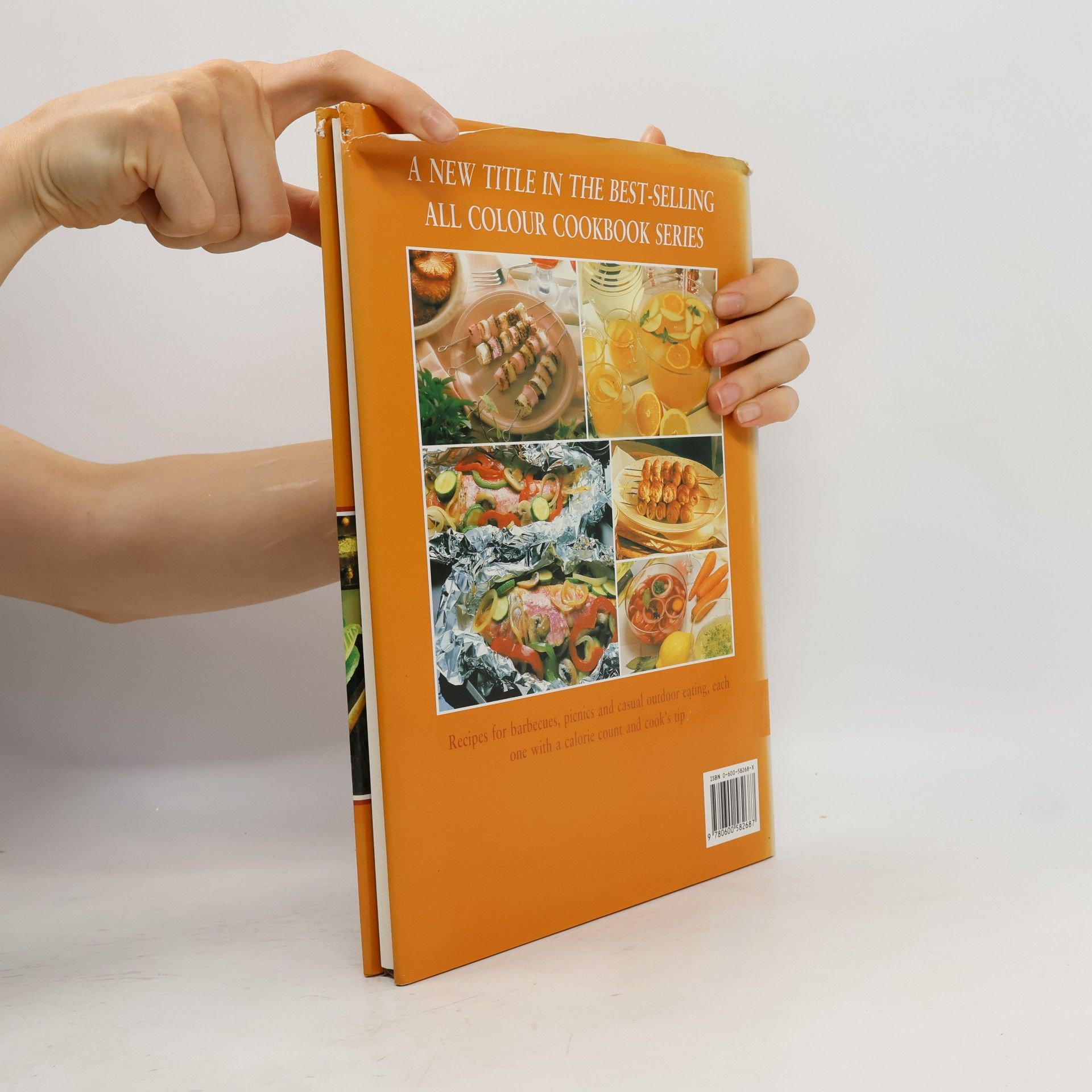 Annie Nichols Hamlyn All Colour Cookbooks: Barbecues & Summer Food