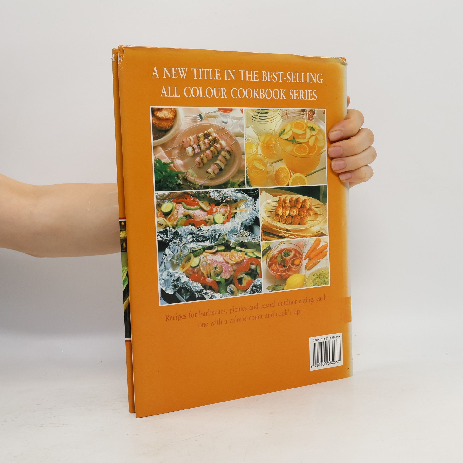 Annie Nichols Hamlyn All Colour Cookbooks: Barbecues & Summer Food