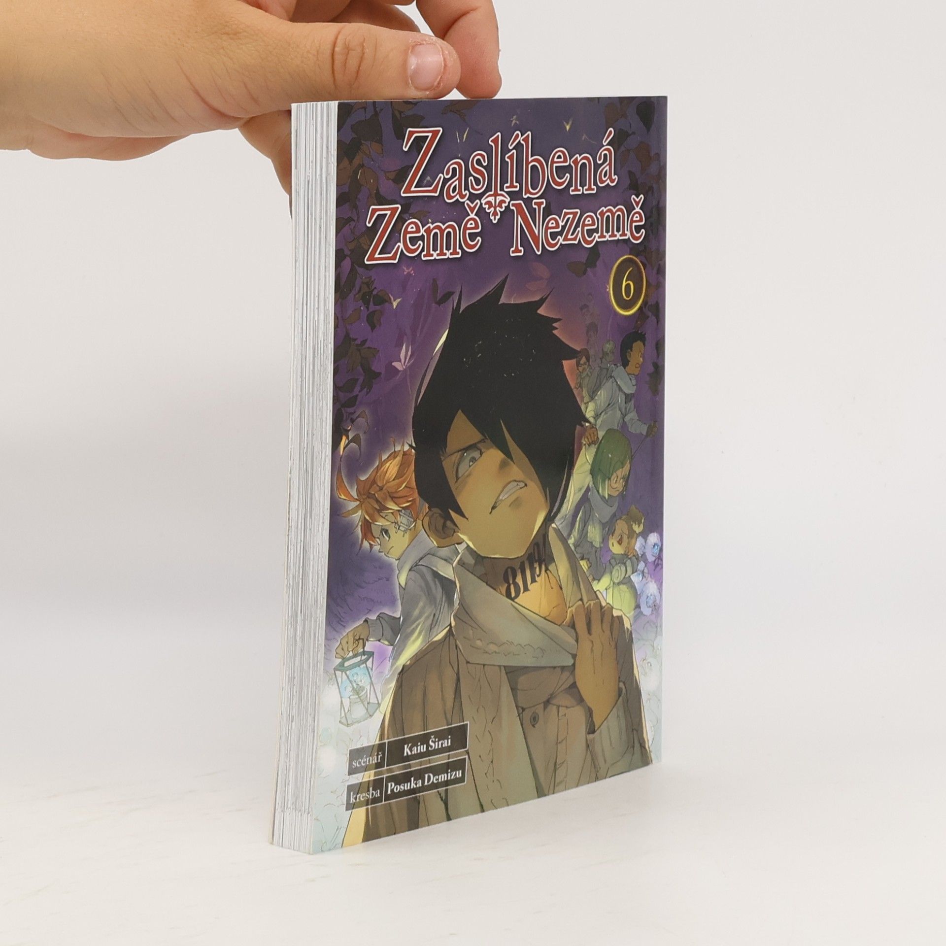 Kaiu Shirai Zaslíbená Země Nezemě 6