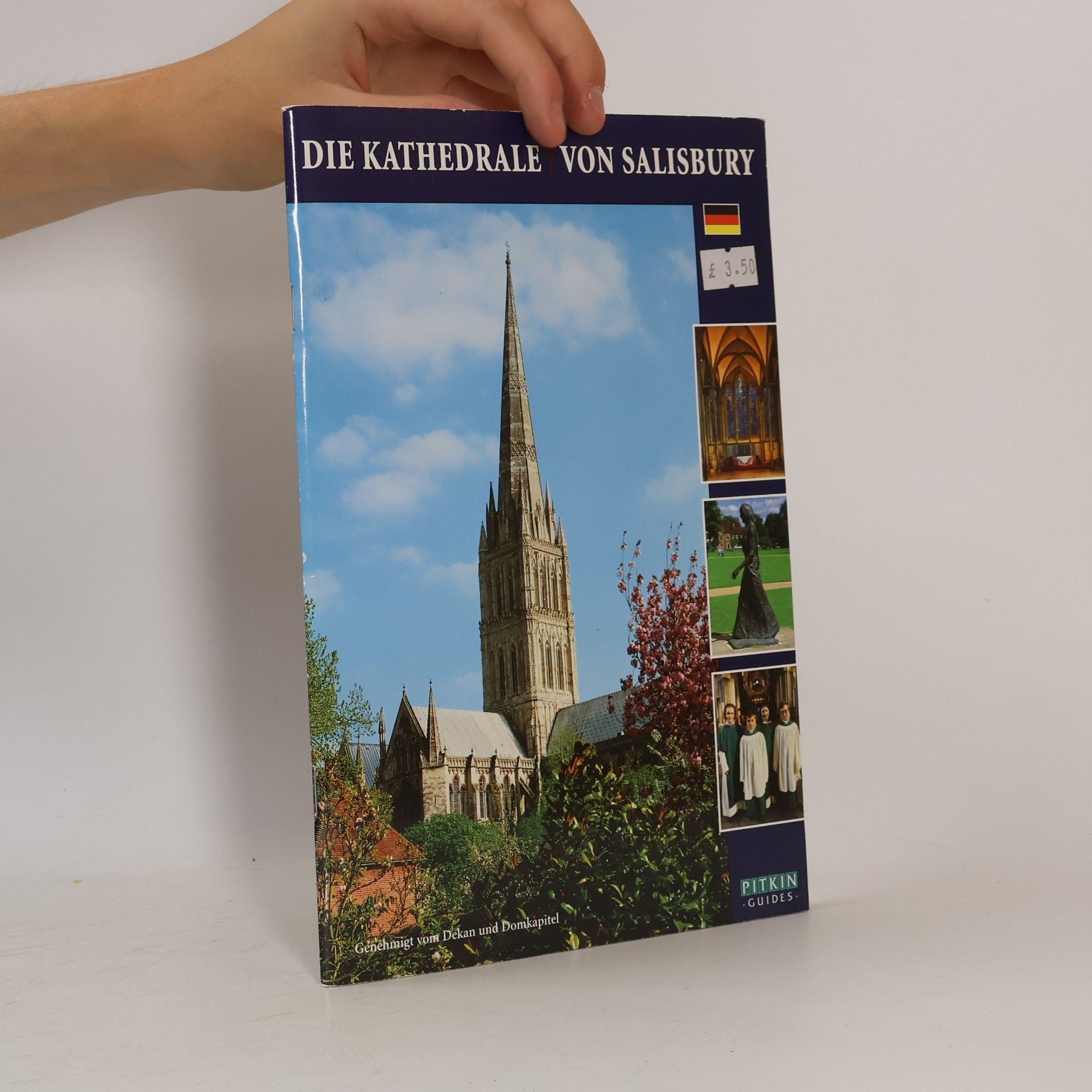 Kolektív autorov Die Kathedrale von Salisbury