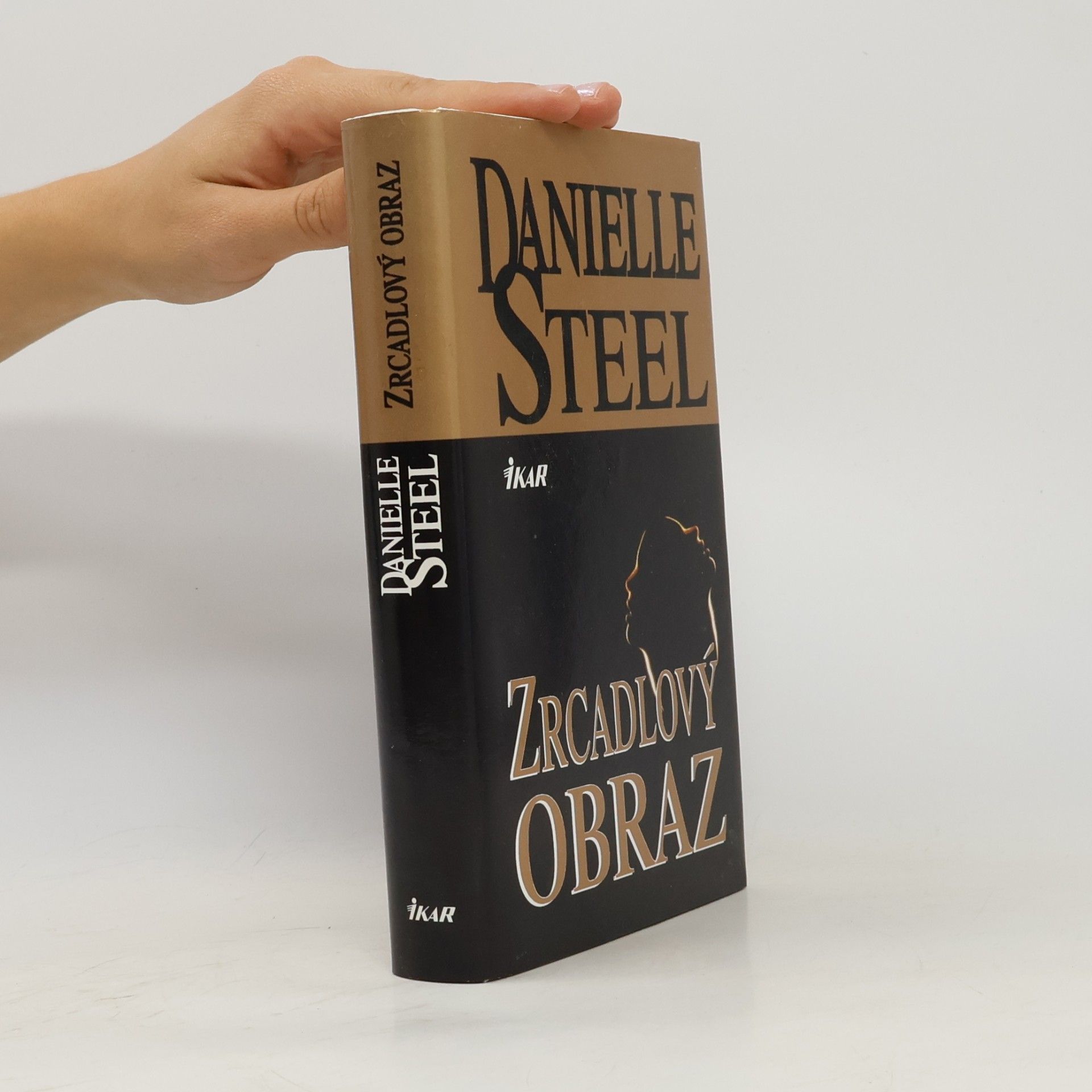 Danielle Steel Zrcadlový obraz