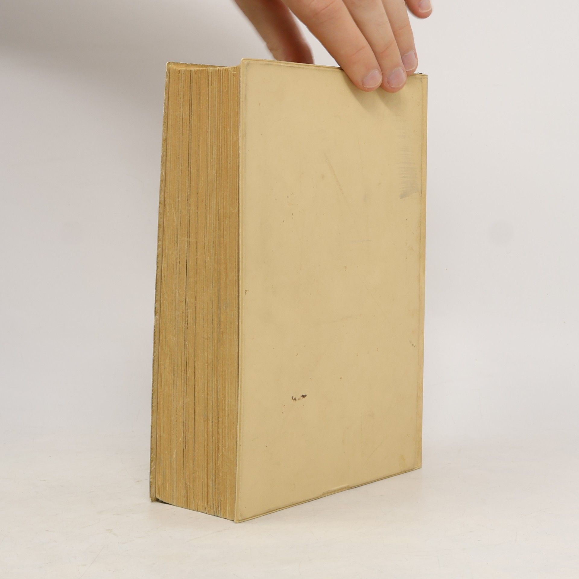 Henriette Davidis Kochbuch