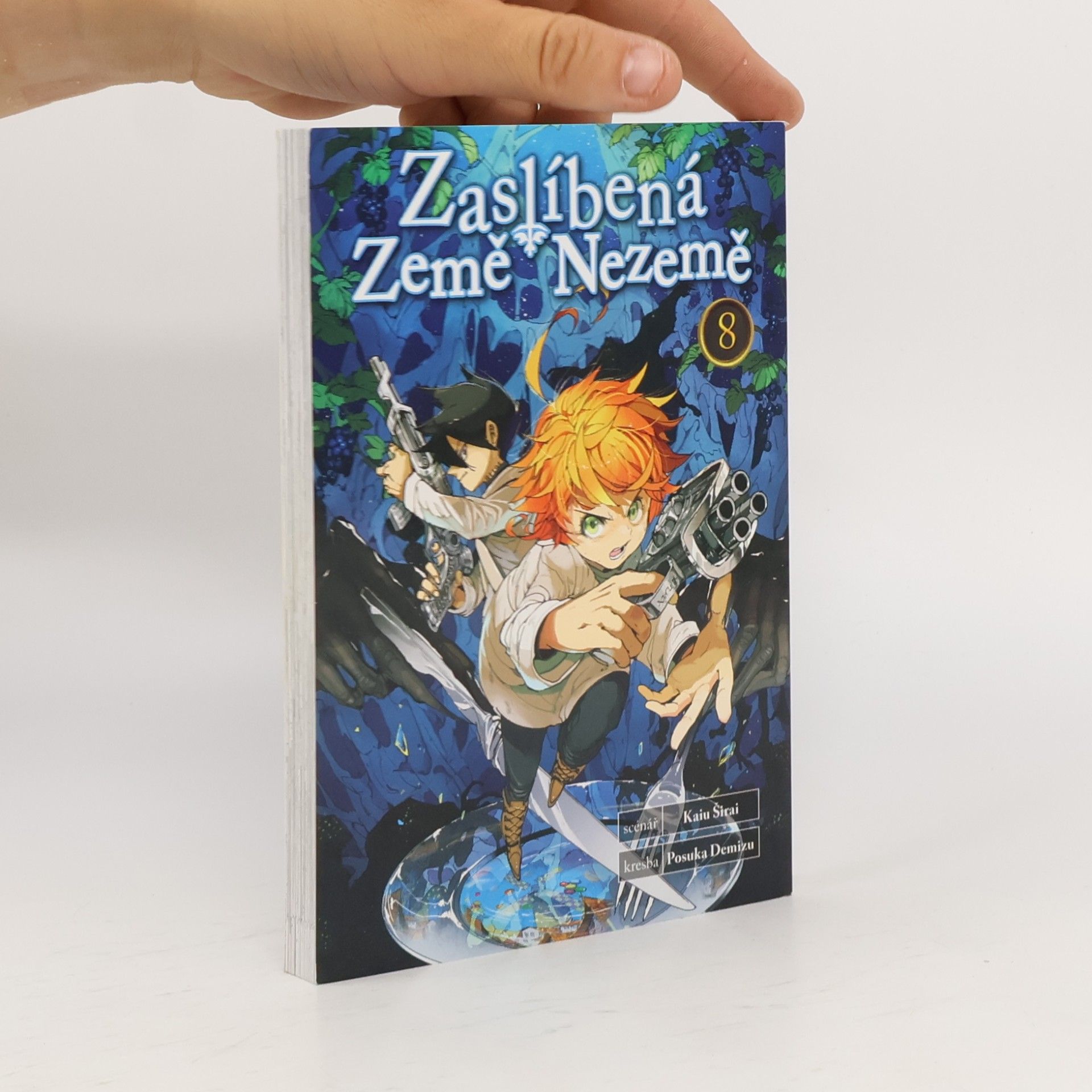 Kaiu Shirai Zaslíbená Země Nezemě 8