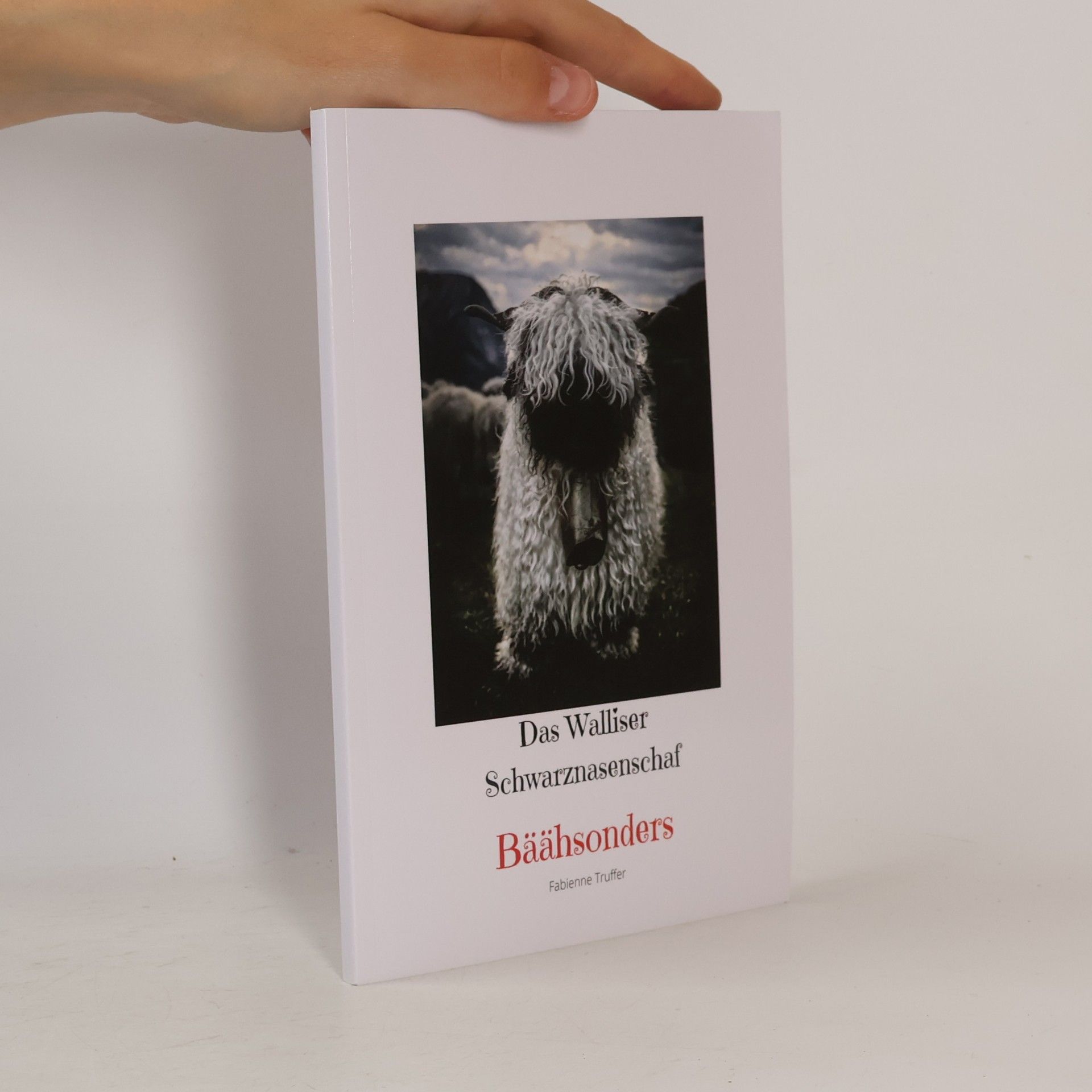 Bäähsonders: Das Walliser Schwarznasenschaf