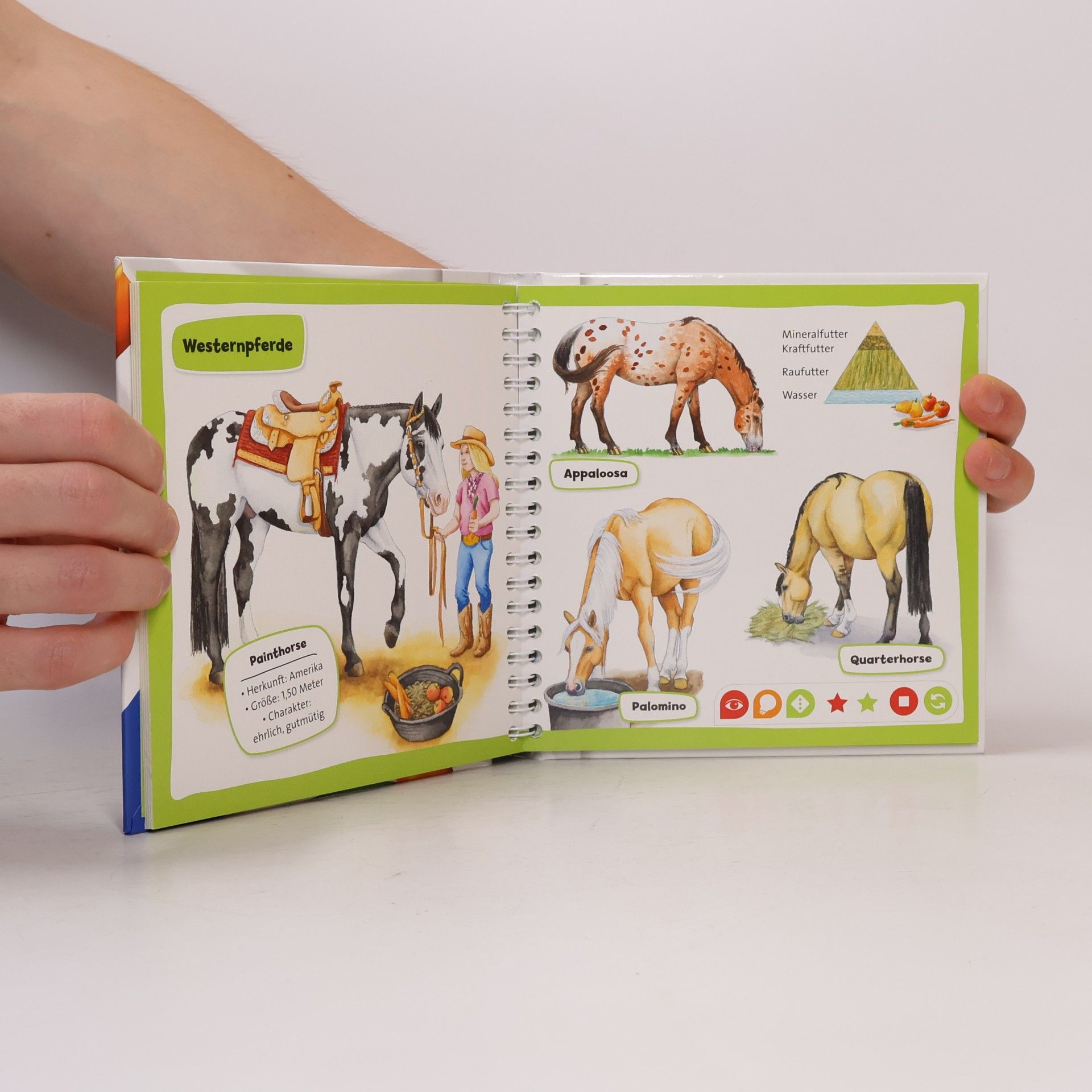 Auteurscollectief Pocket Wissen. Pferde und Ponys