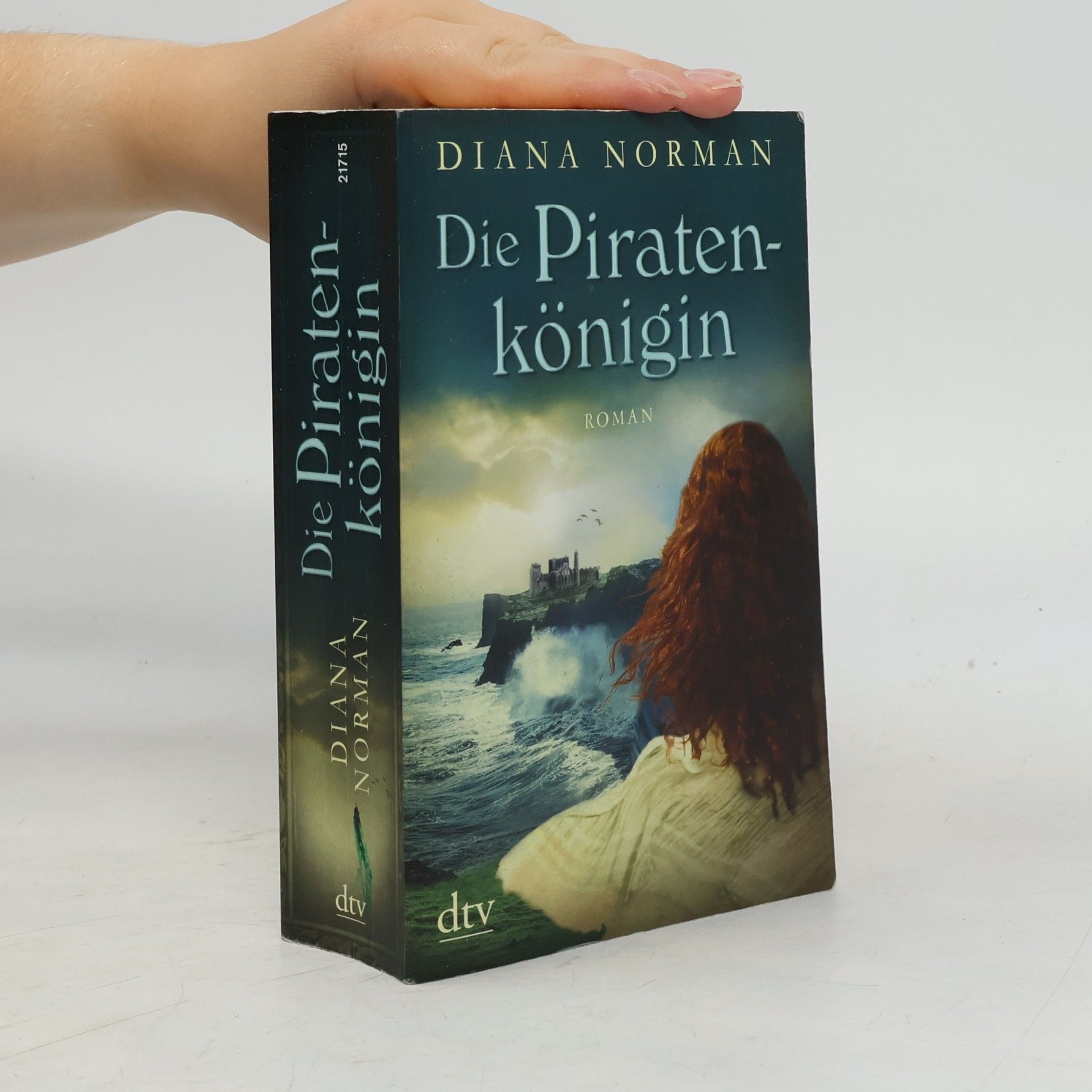 Diana Norman Die Piratenkönigin