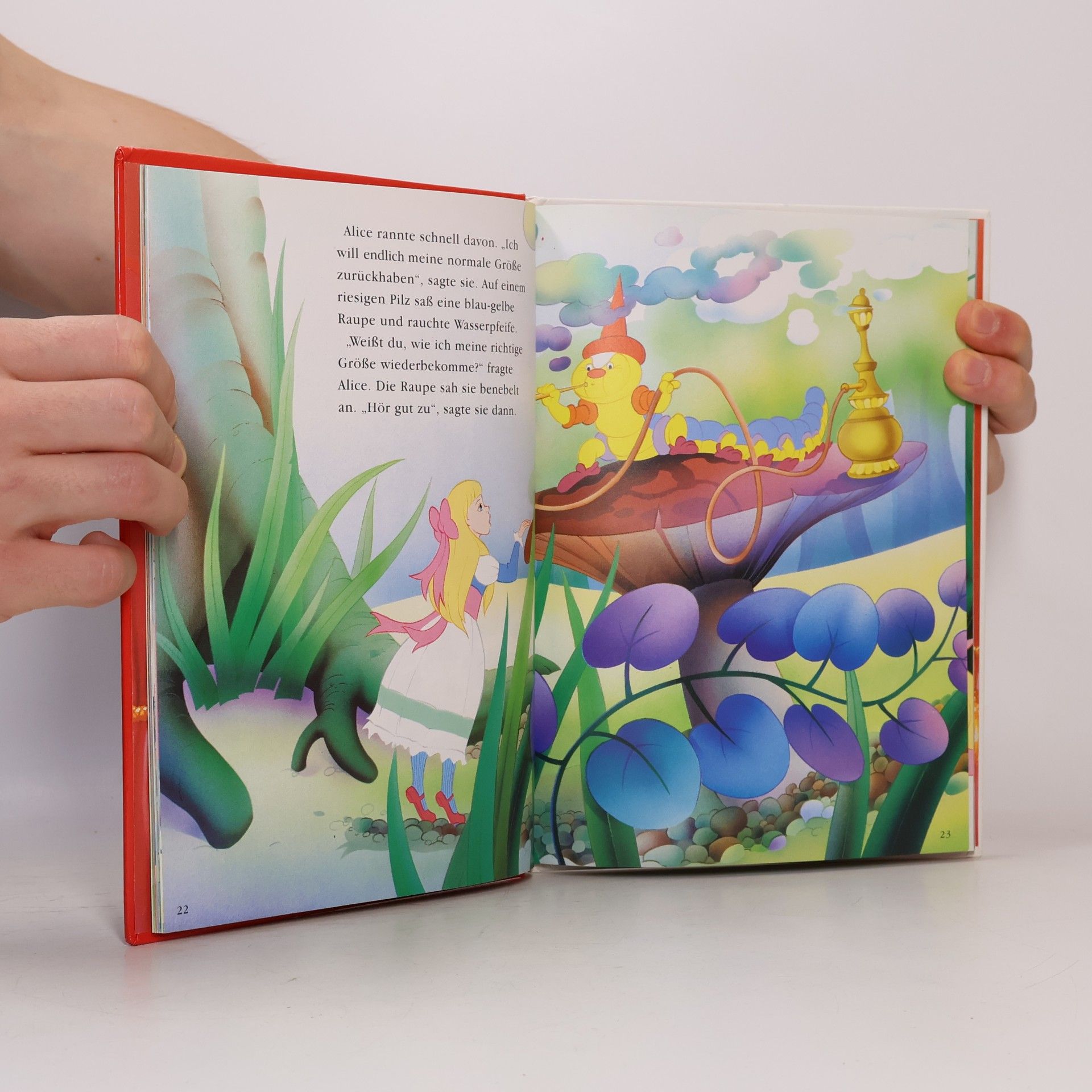 Autorenkollektiv Alice im Wunderland