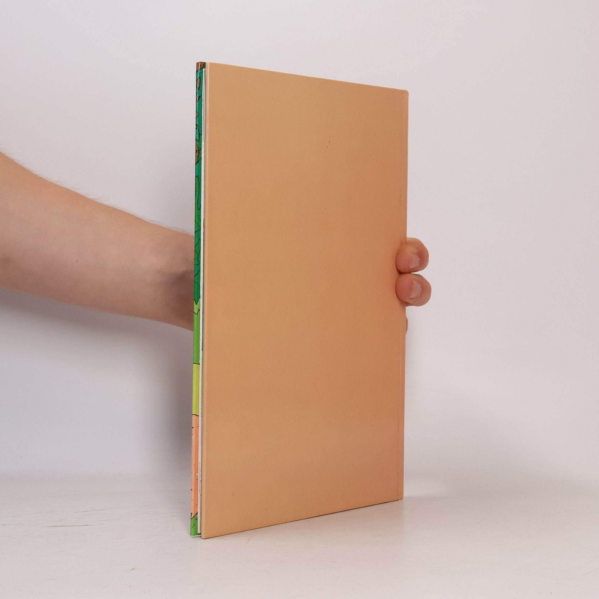 Kolektiv autorů Die Geschichte von Pongo und Perdita