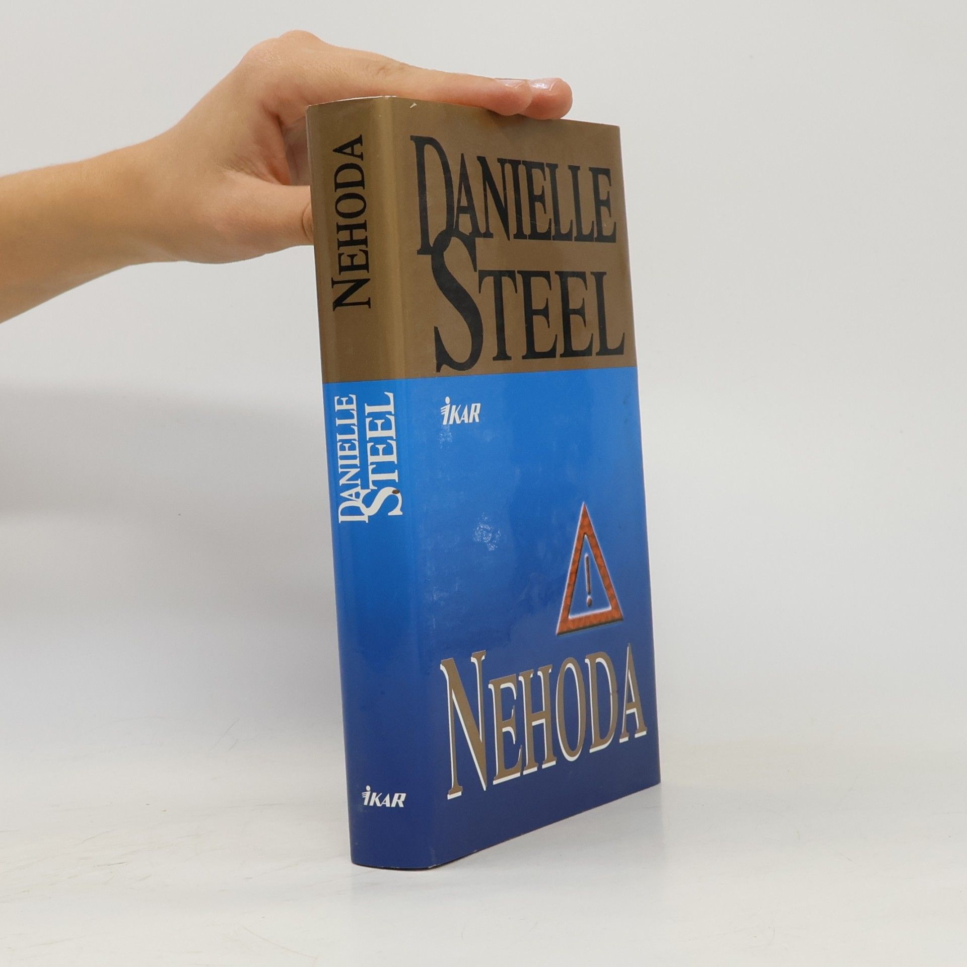 Danielle Steel Nehoda