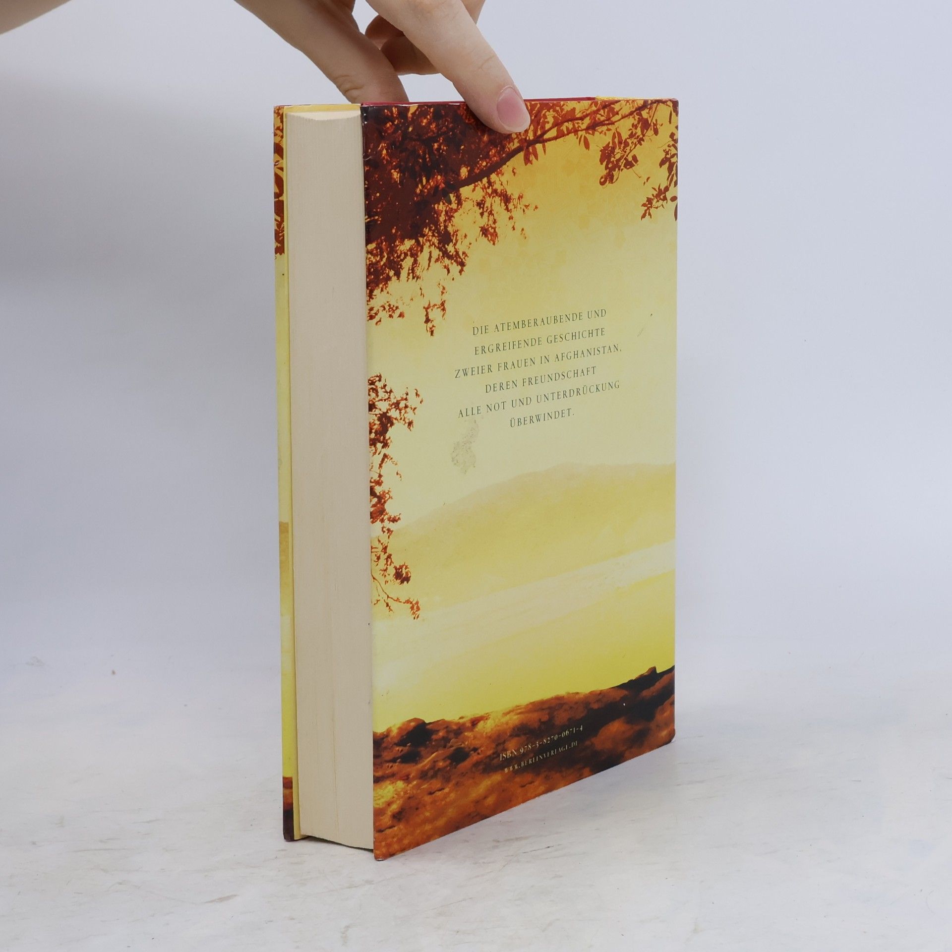 Khaled Hosseini Tausend strahlende Sonnen