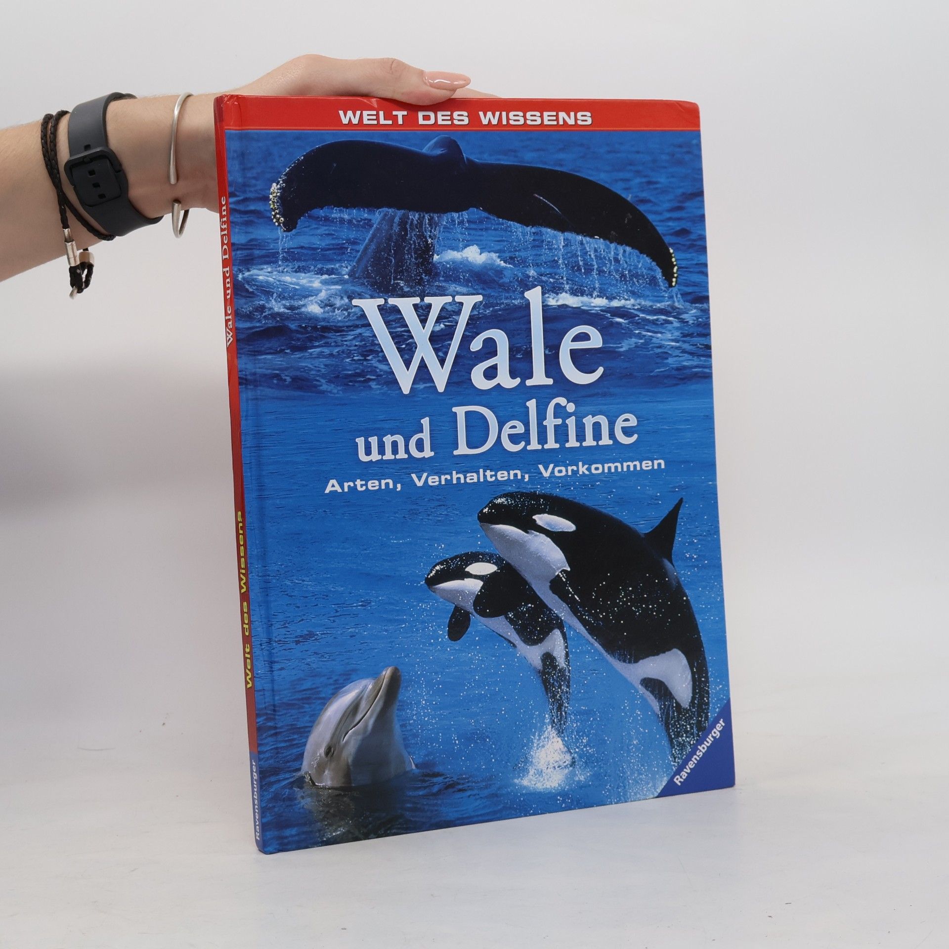 Bronwyn Sweeney Wale und Delfine