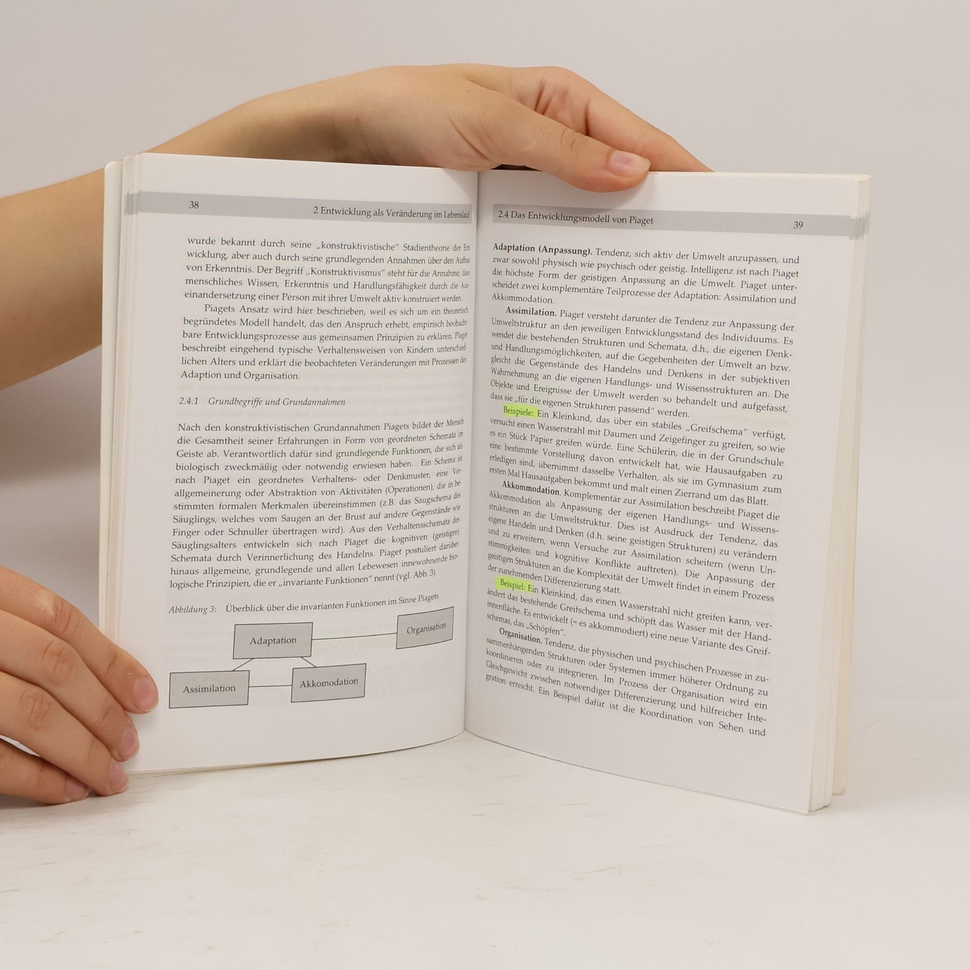 Margarete Imhof Psychologie für Lehramtsstudierende