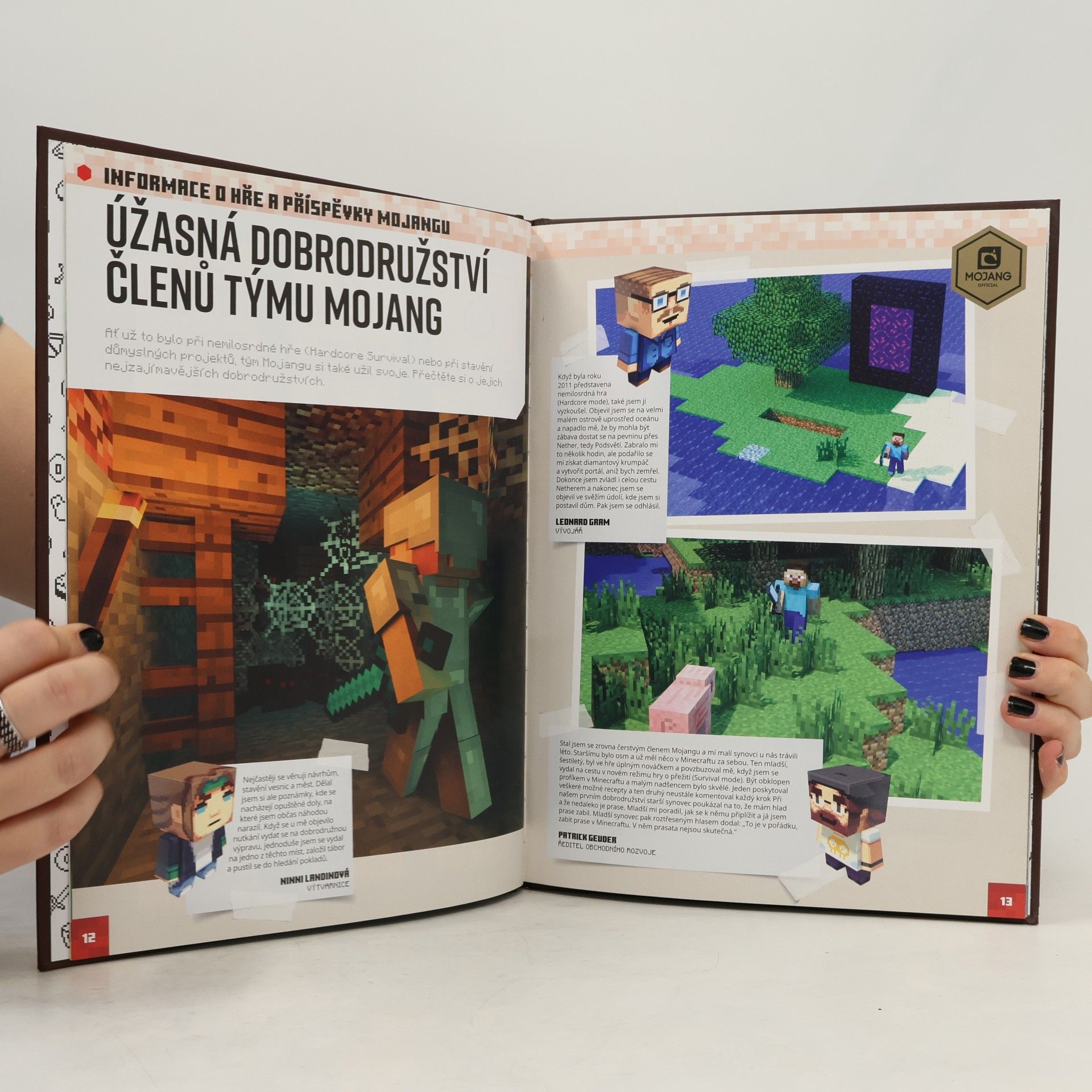 Stephanie Milton Minecraft. Ročenka 2018