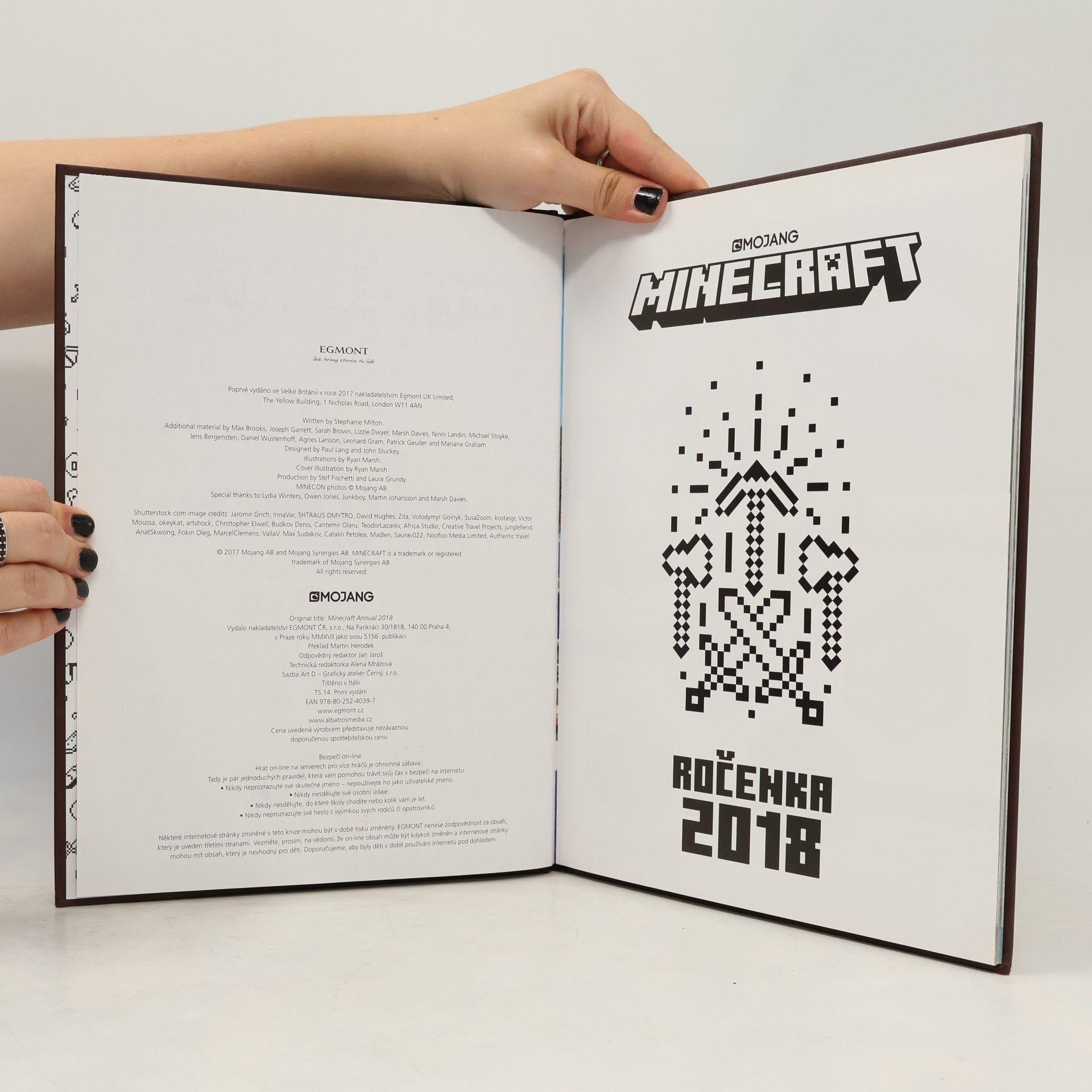 Stephanie Milton Minecraft. Ročenka 2018