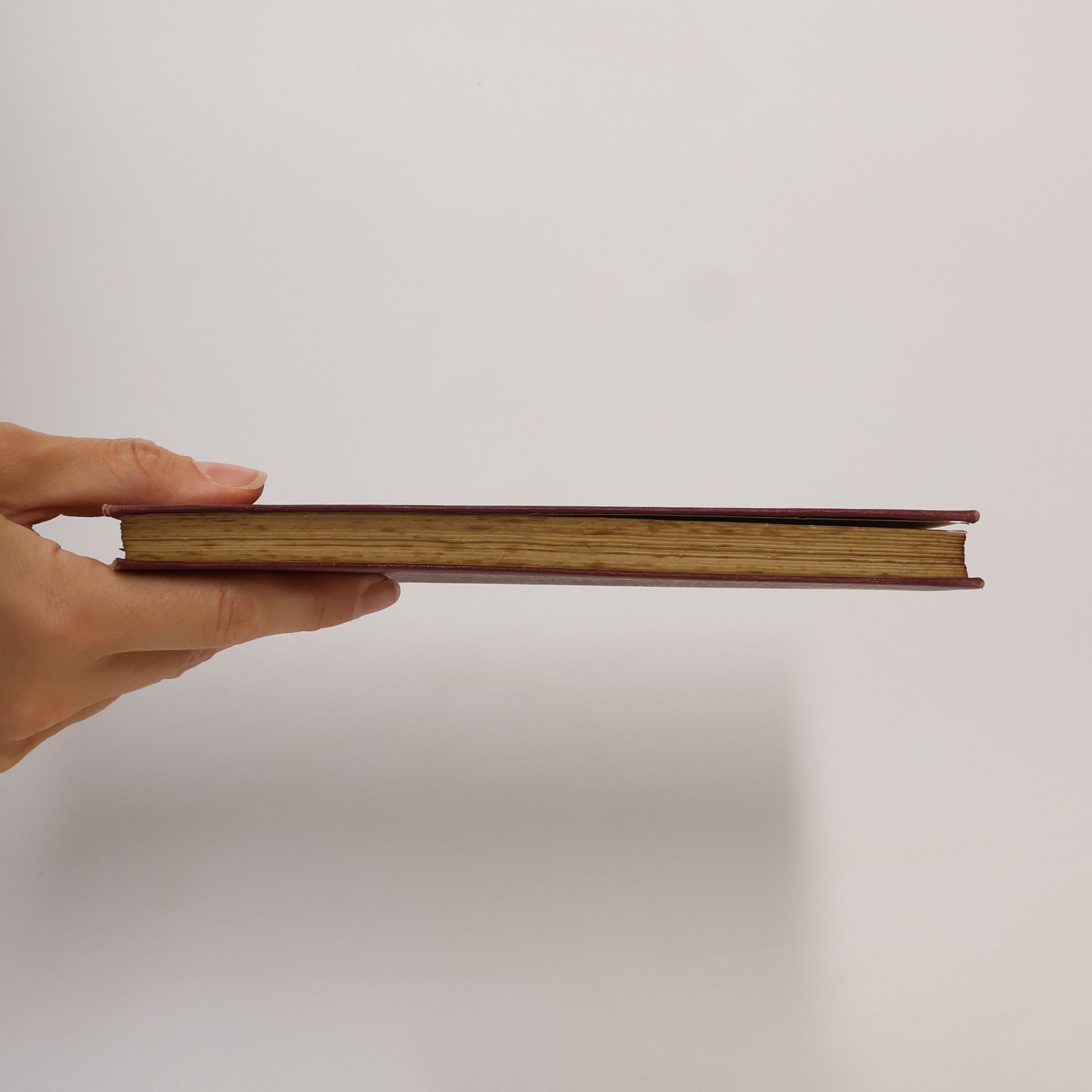 Autorenkollektiv Biblische Kindererziehung