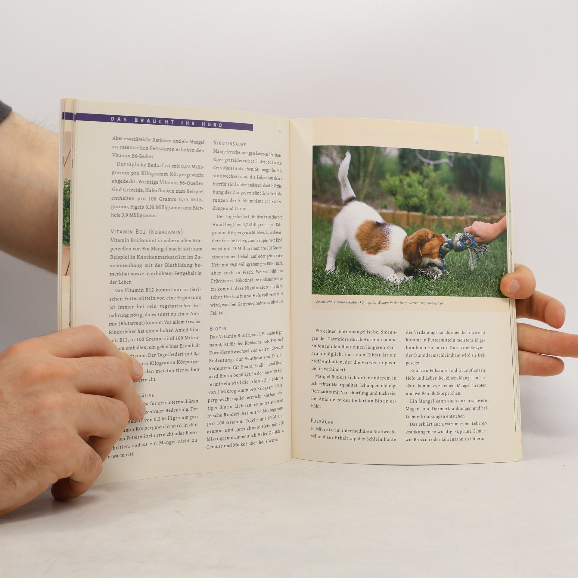 Annegret Bangert Das schmeckt Ihrem Hund