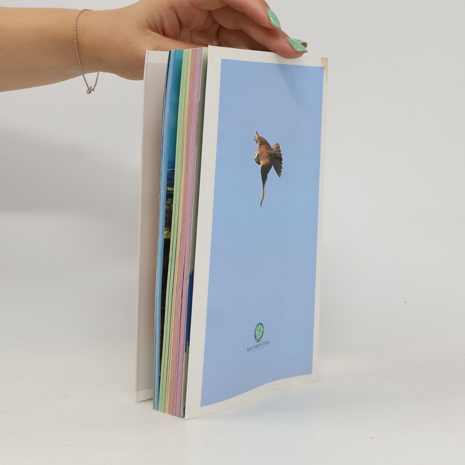 Autores varios Kazakhstan : strana i ljudi, priroda, istorija, èkonomika, kul'tura