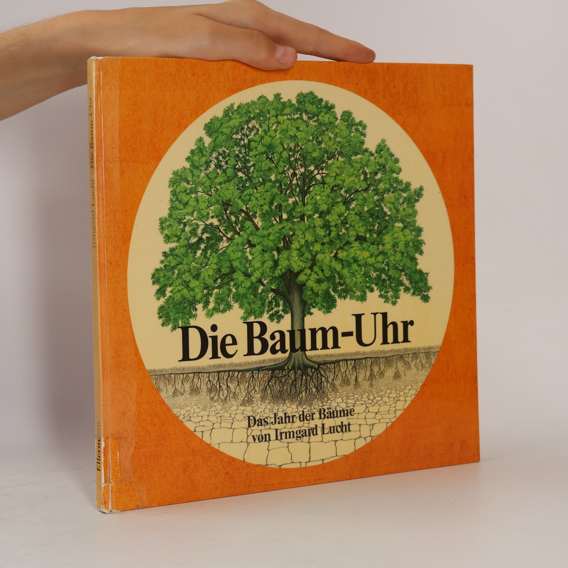 Irmgard Lucht Die Baum-Uhr
