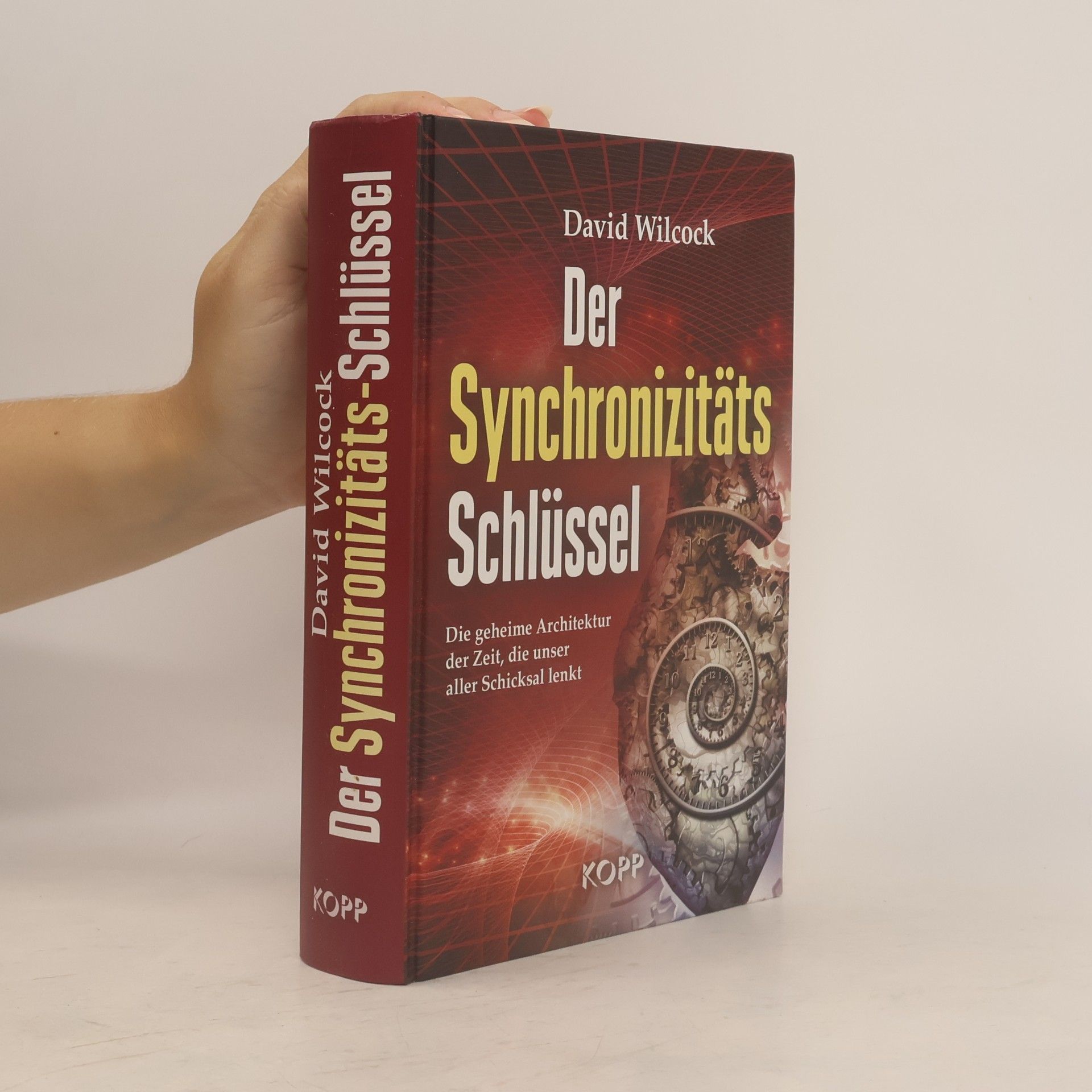 David Wilcock Der Synchronizitäts-Schlüssel