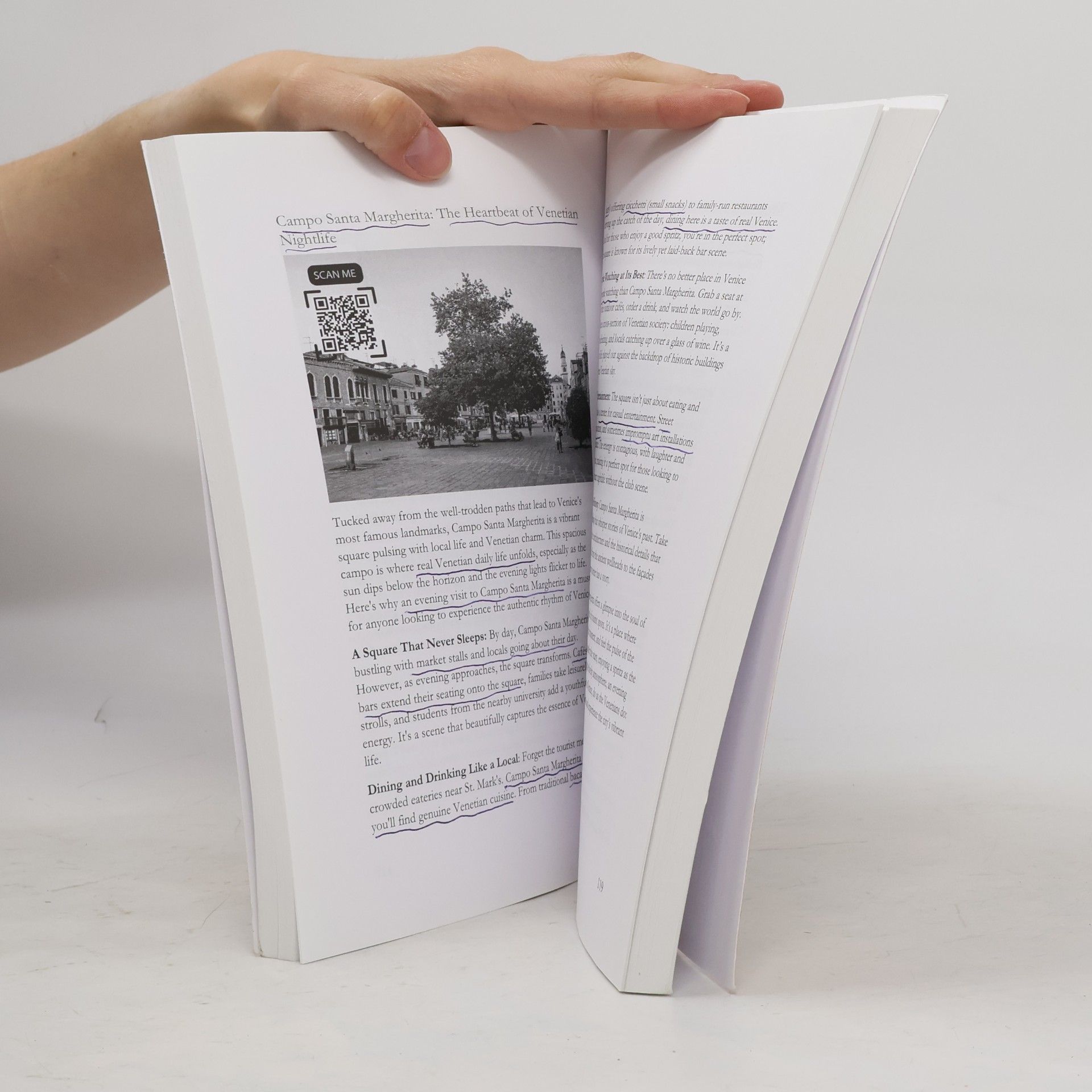 Kieran Holloway Venice Travel Guide