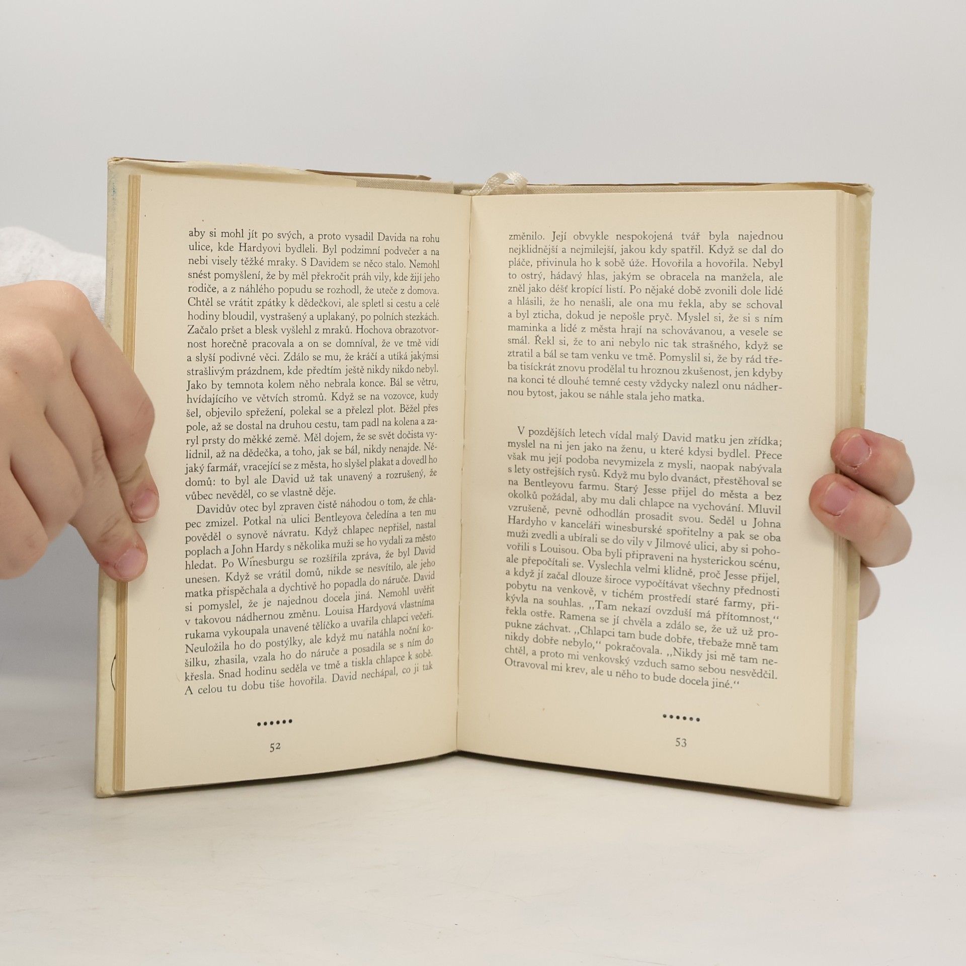 Sherwood Anderson Městečko v Ohiu