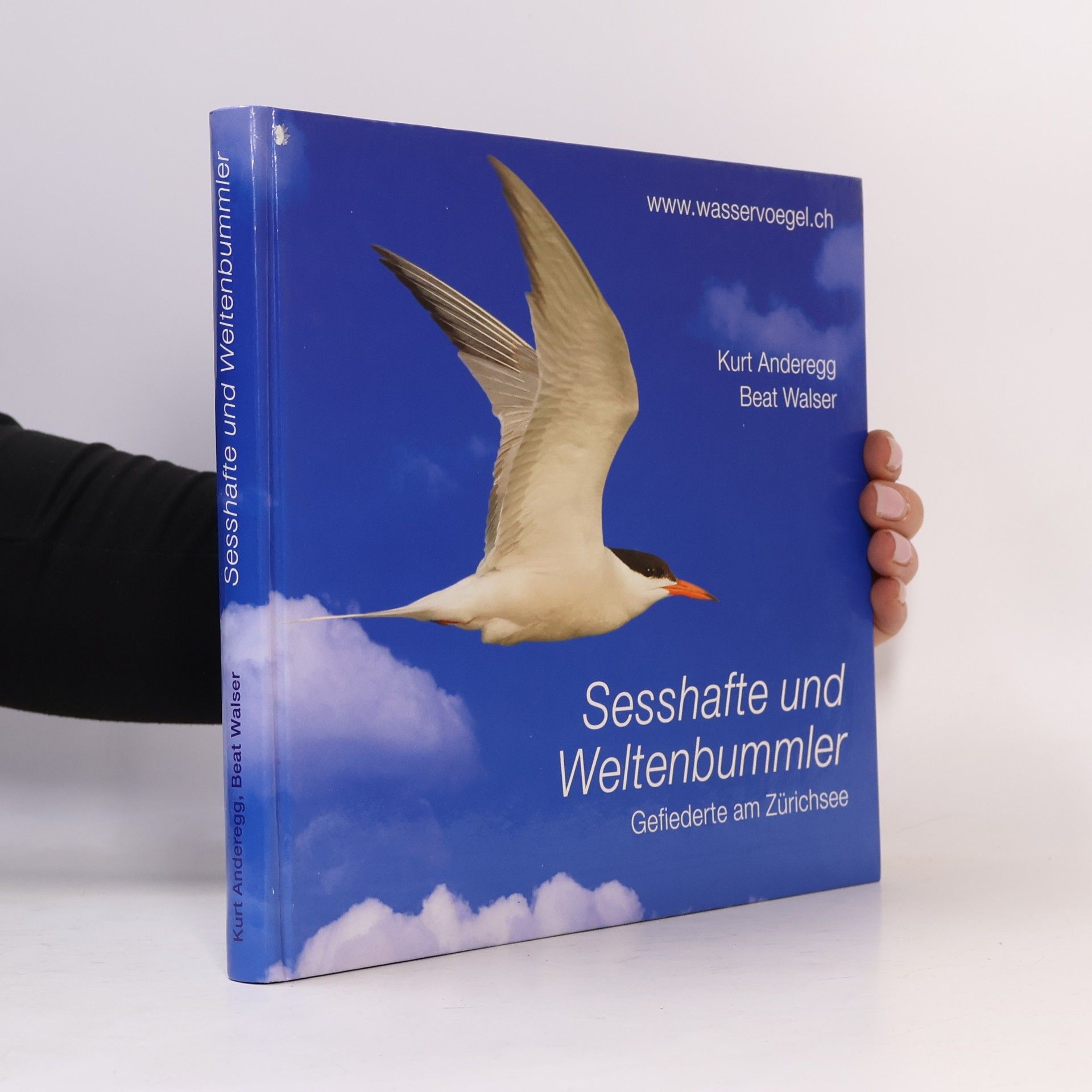 Beat Walser Sesshafte und Weltenbummler