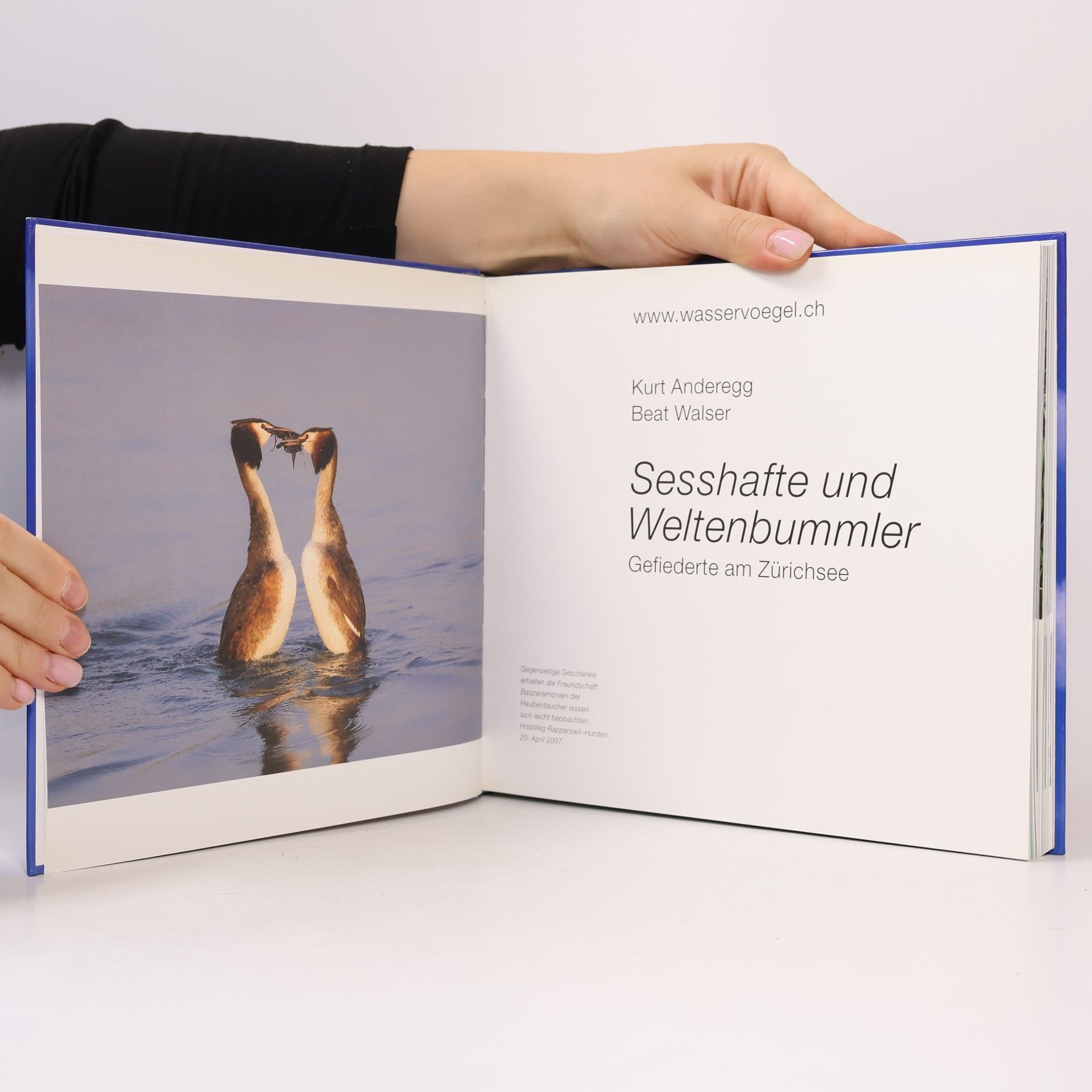 Kurt Anderegg Sesshafte und Weltenbummler