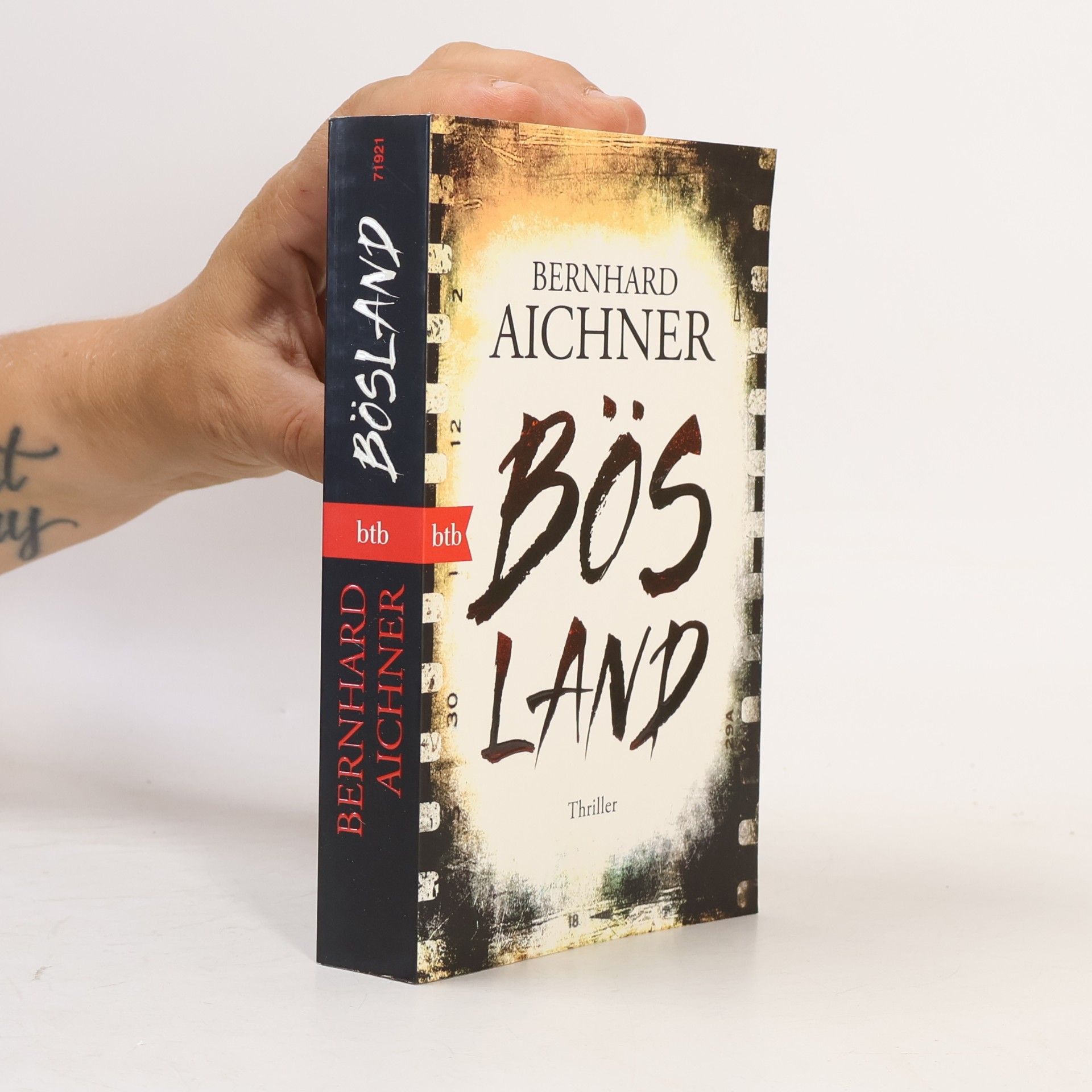 Bernhard Aichner Bösland