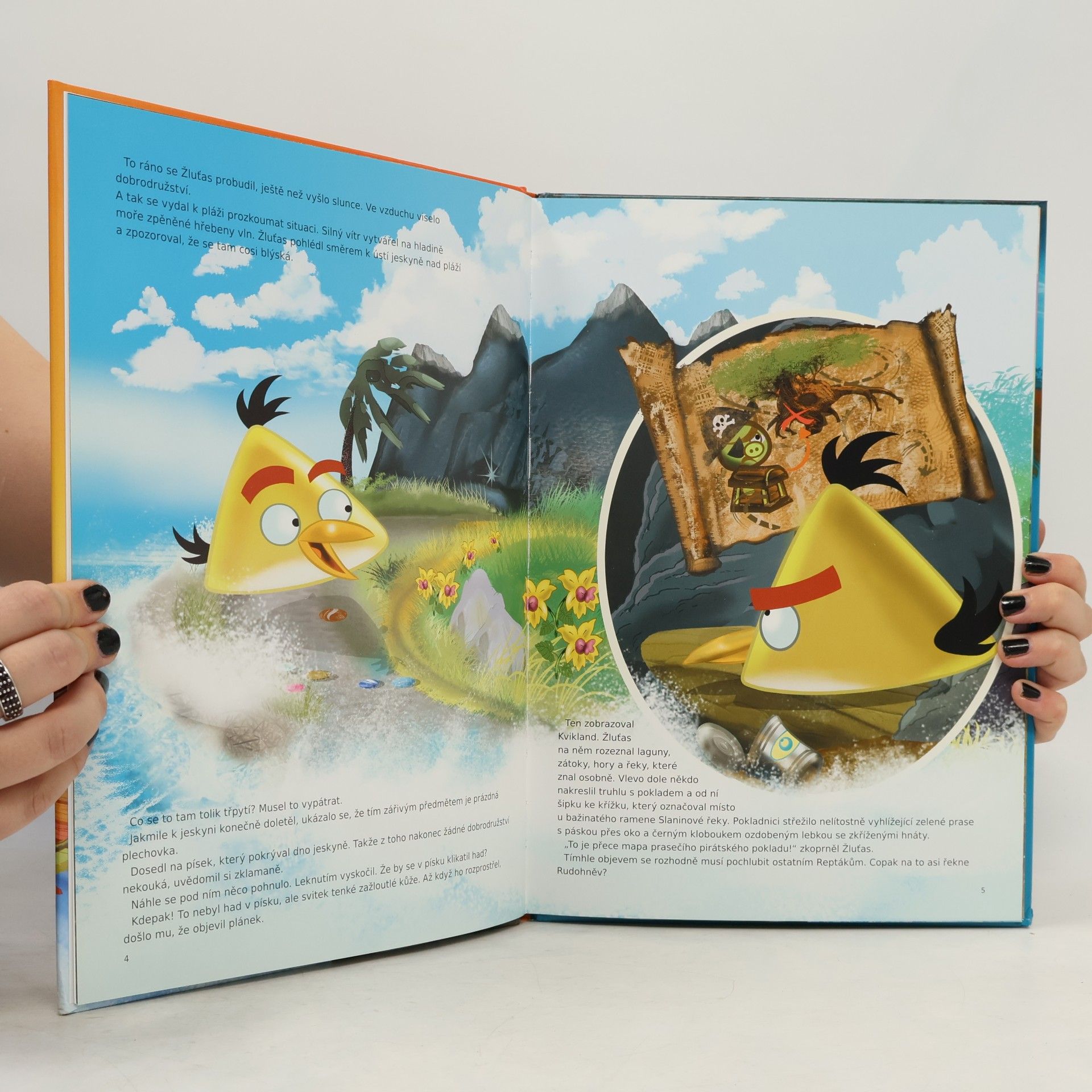 Tapani Bagge Angry Birds. Tajemství ztraceného pokladu