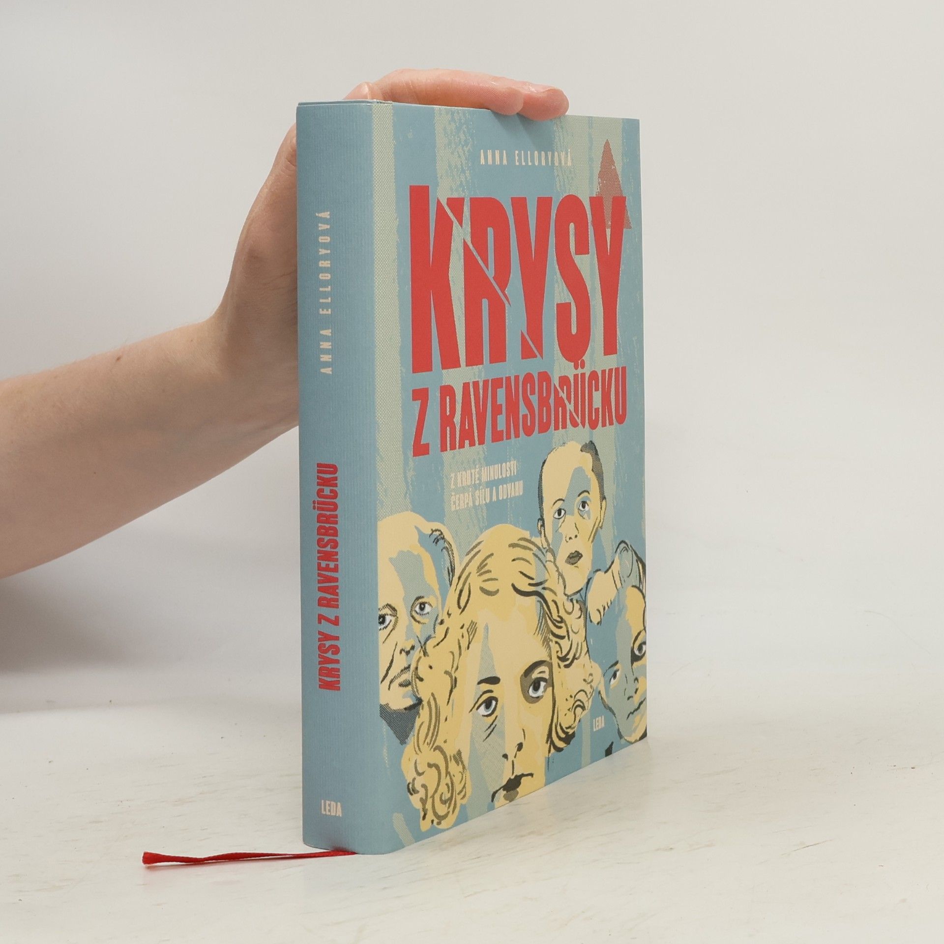 Anna Ellory Krysy z Ravensbrücku