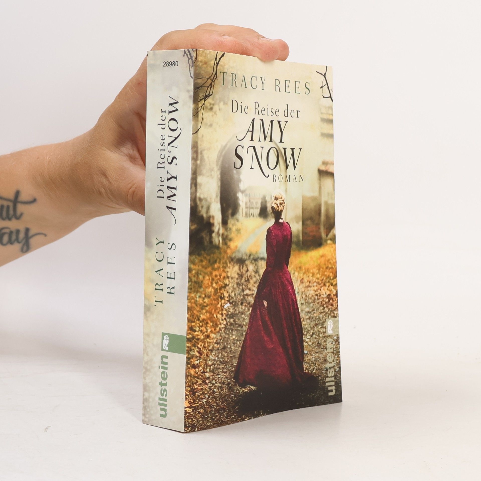 Tracy Rees Die Reise der Amy Snow