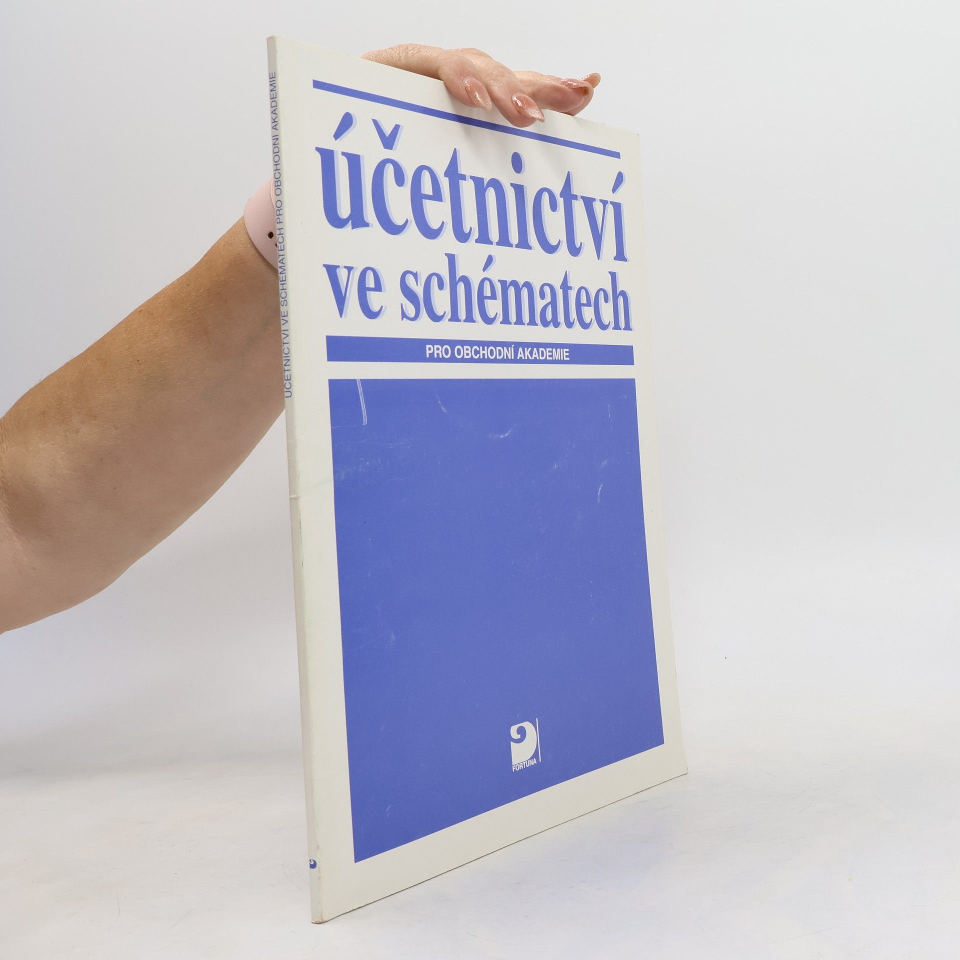 Účetnictví ve schématech pro obchodní akademie