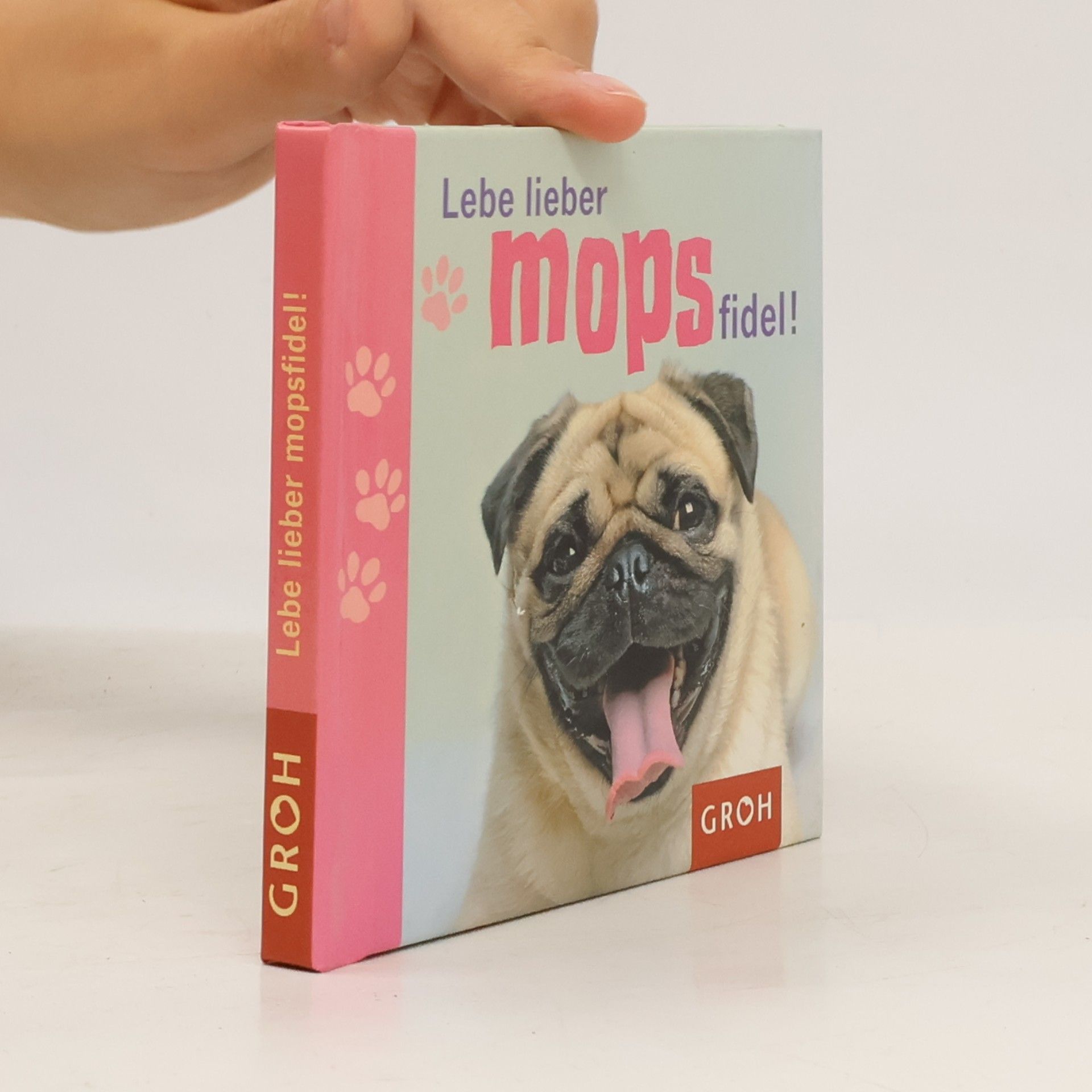 Klara Sophie Lechner Lebe lieber mopsfidel!