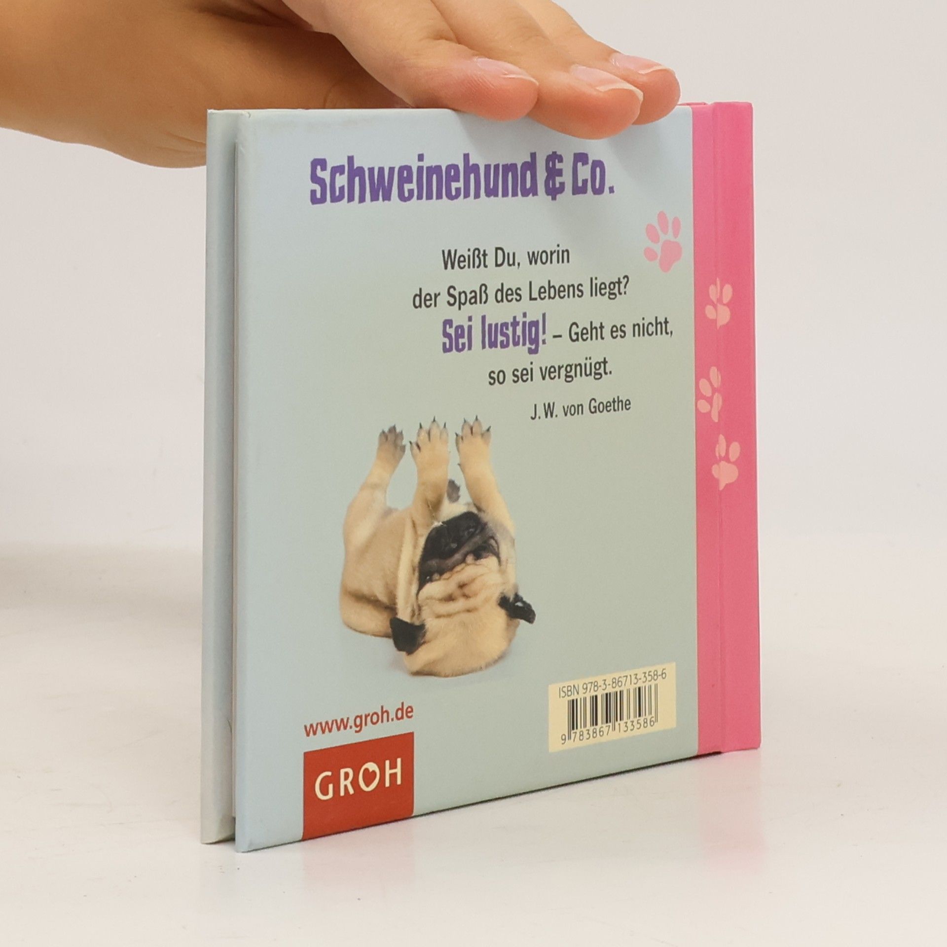 Klara Sophie Lechner Lebe lieber mopsfidel!