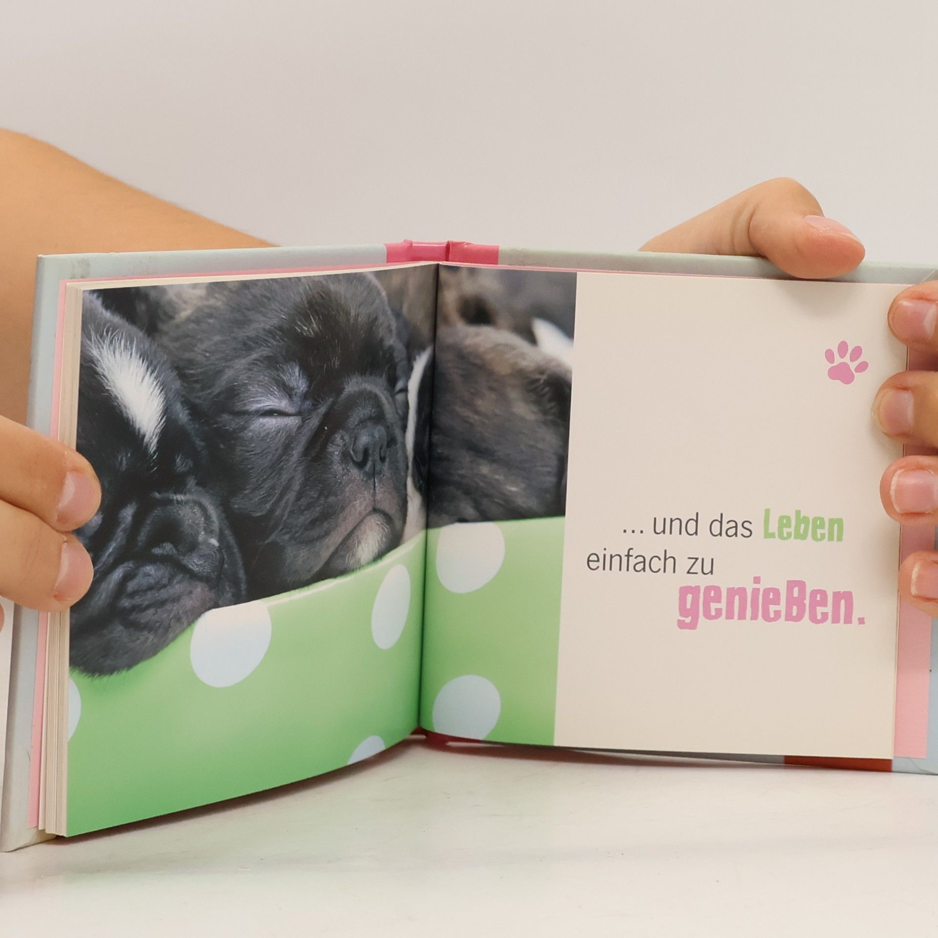 Klara Sophie Lechner Lebe lieber mopsfidel!