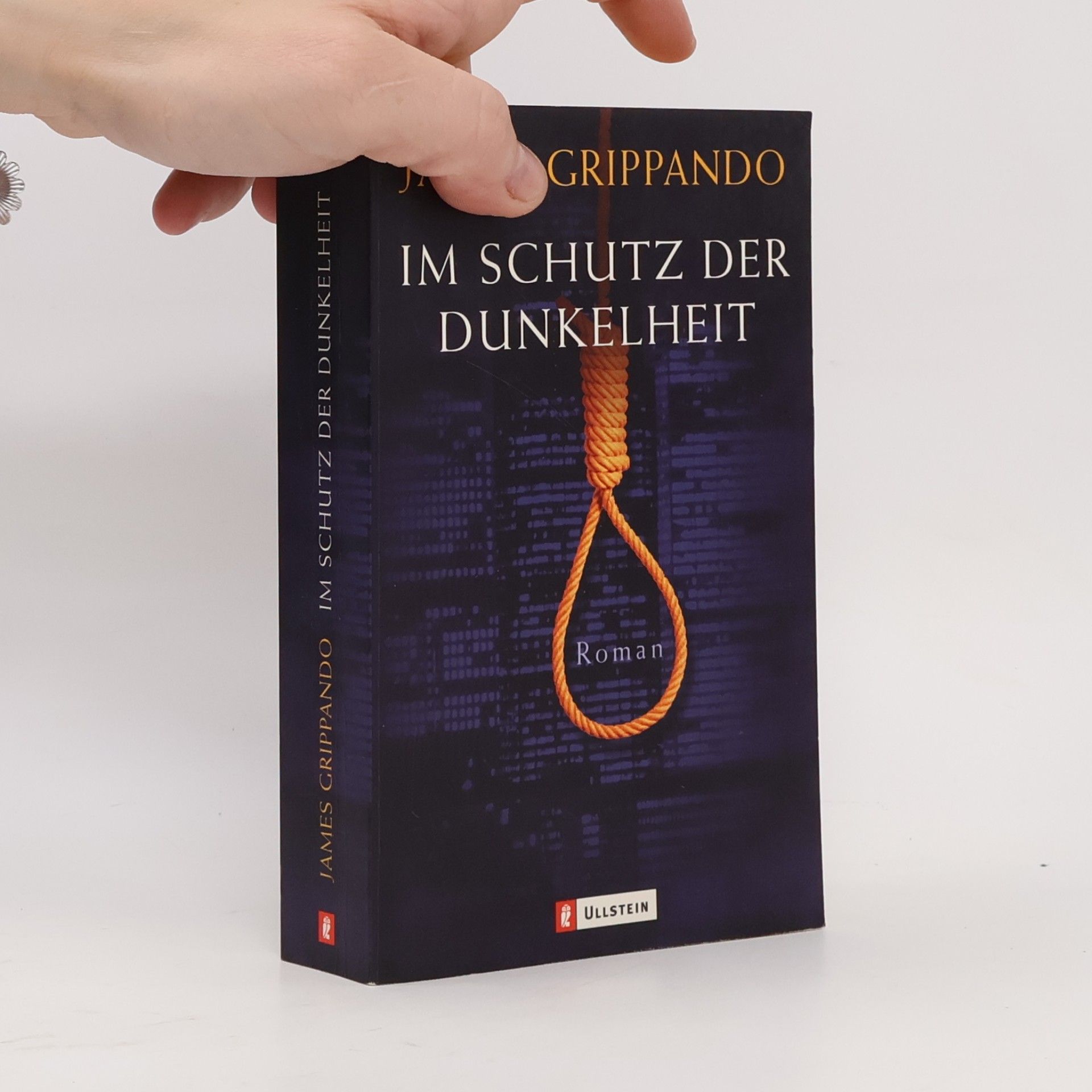 James Grippando Im Schutz der Dunkelheit