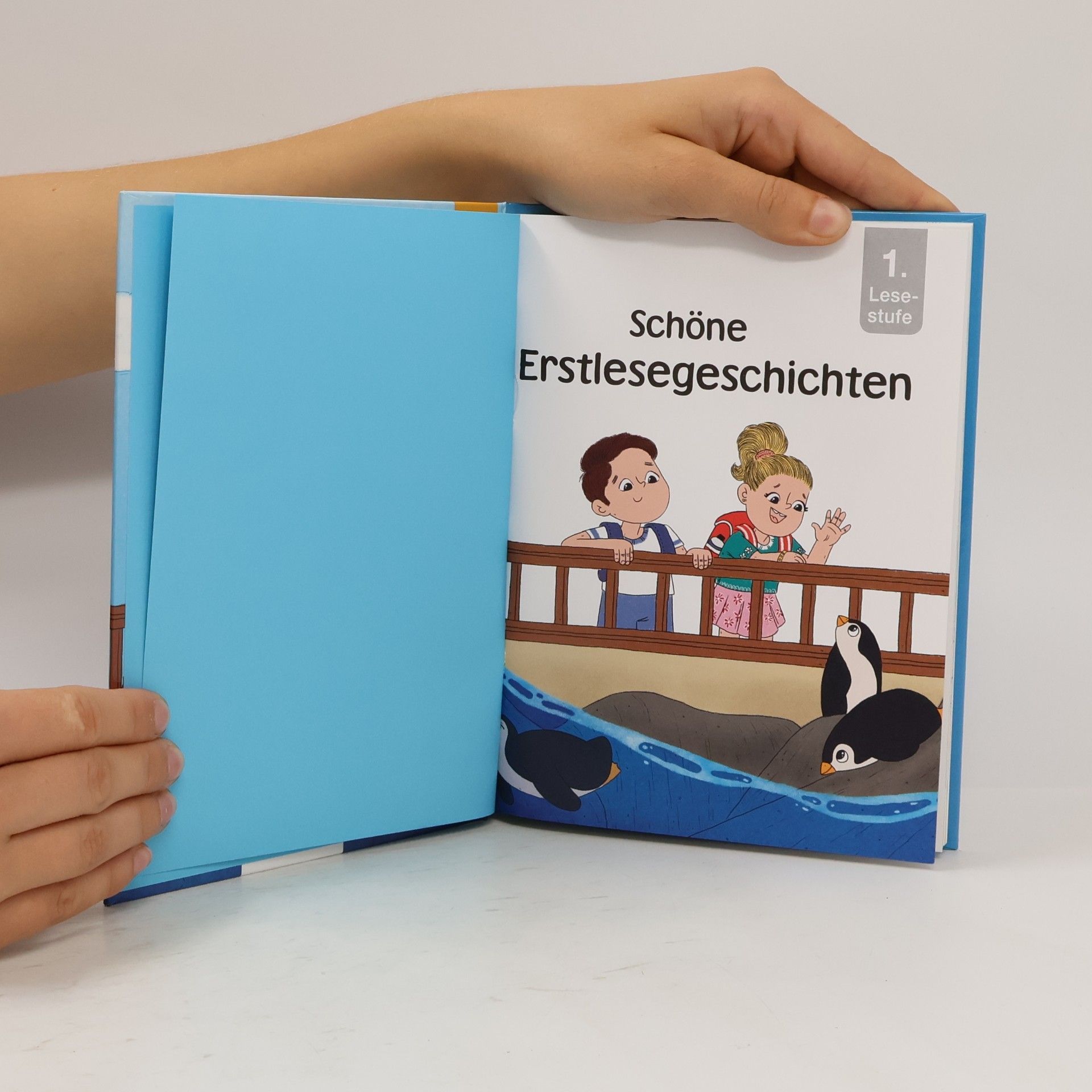 Claudia Hornung Schöne 1. Lesestufe Erstlesegeschichten