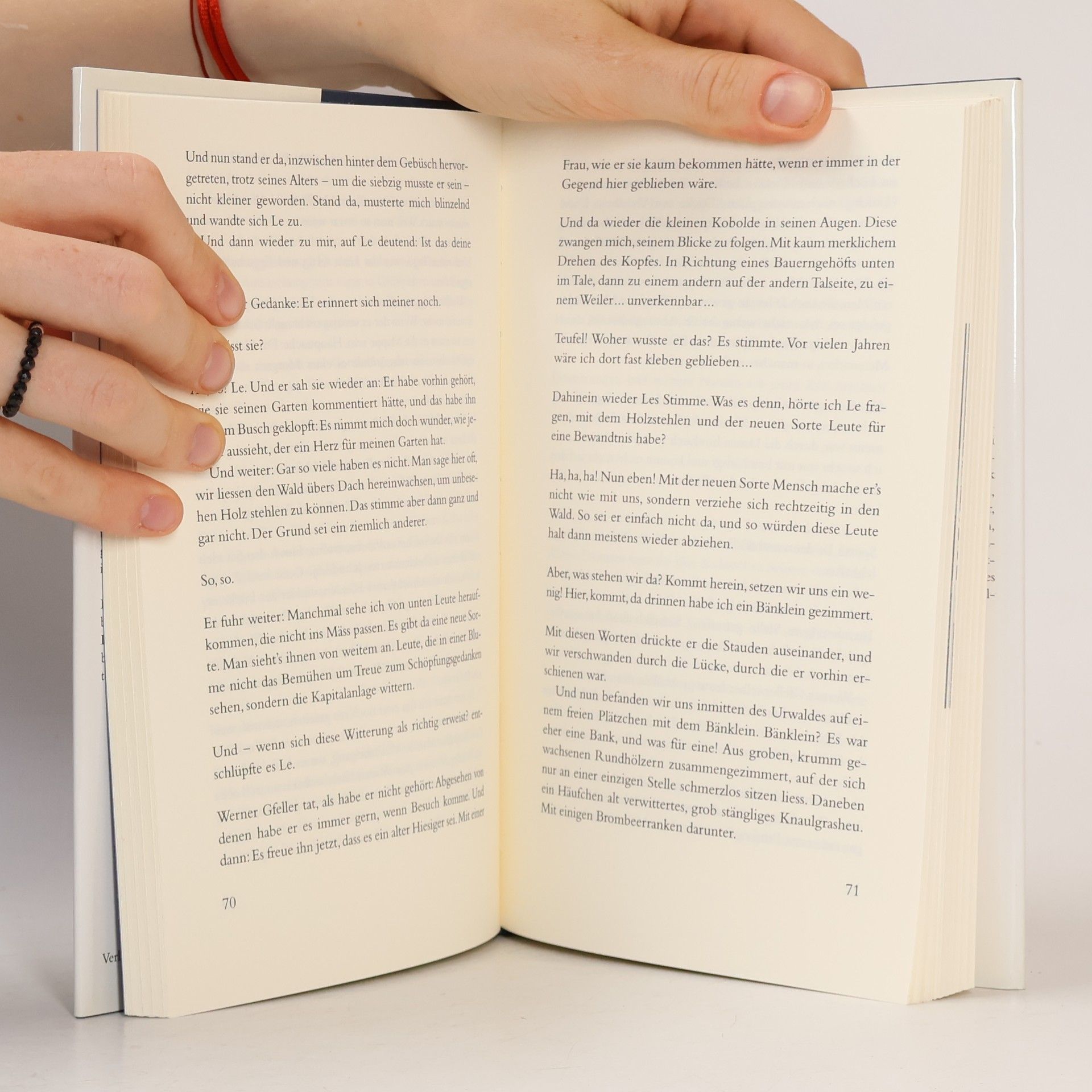 Ernst Därendinger Zaunkönig und Adler Eine Novelle