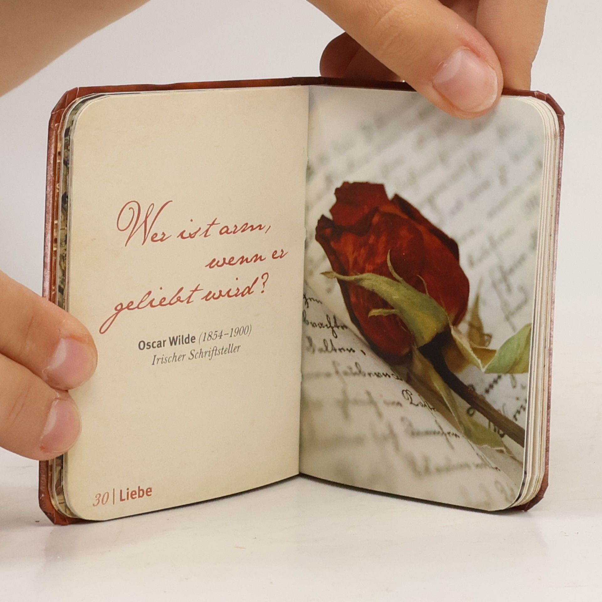 Minilibri: Kleine Weisheiten