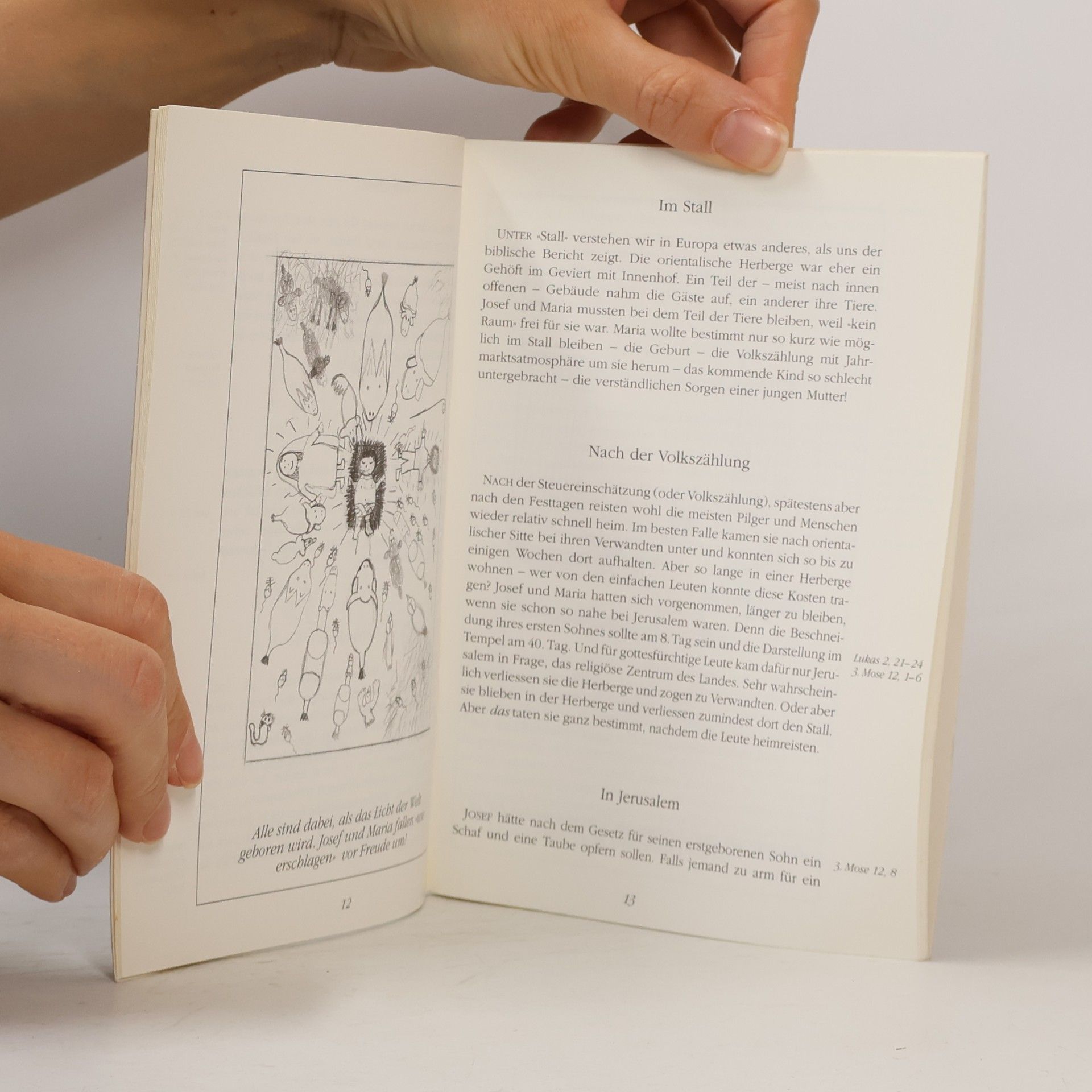 kolektiv Die Weihnachtsgeschichte, wie sie in der Bibel steht