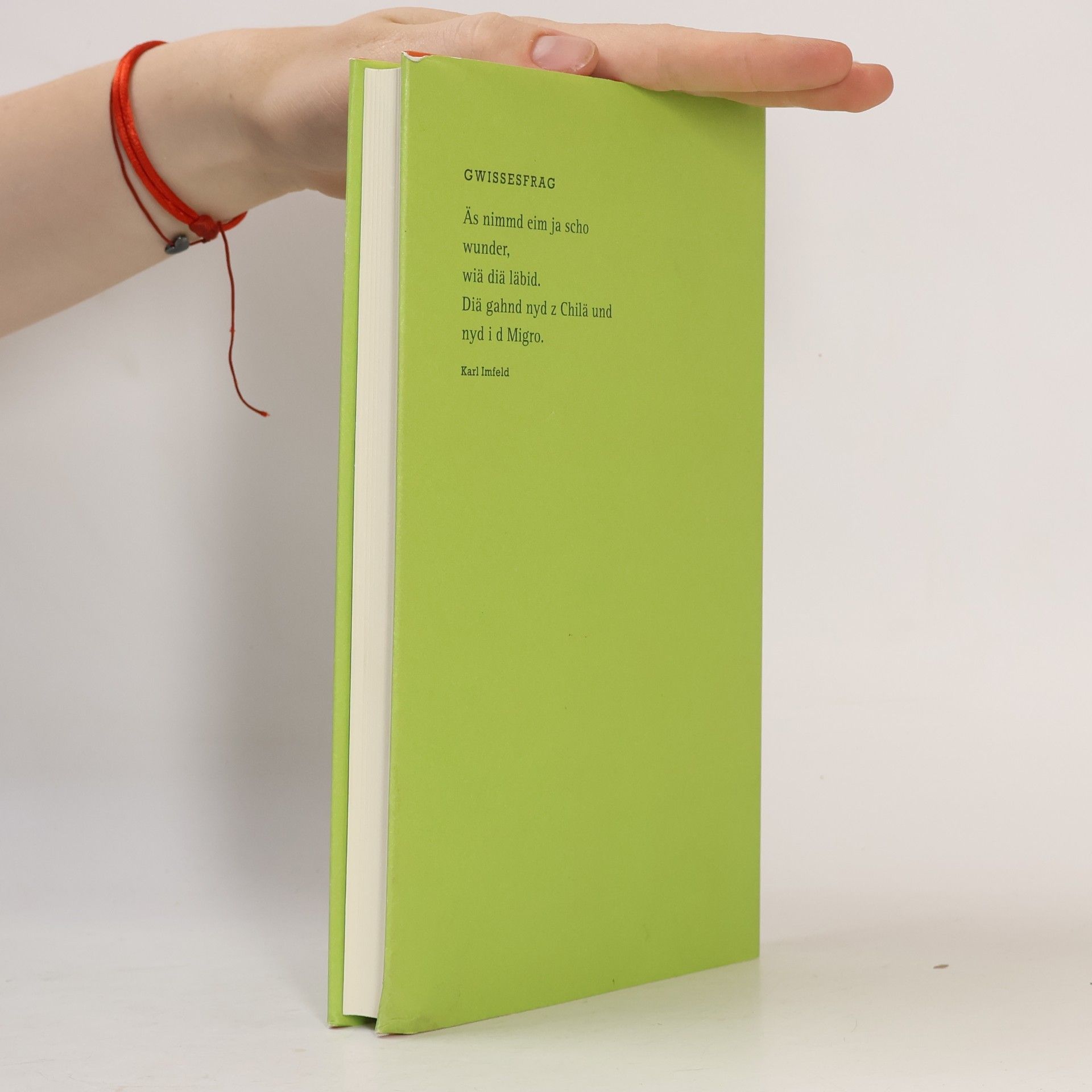 Ursula Fölmli Igajanumenechligalose: Poetische Schweizerreise in Mund-Arten