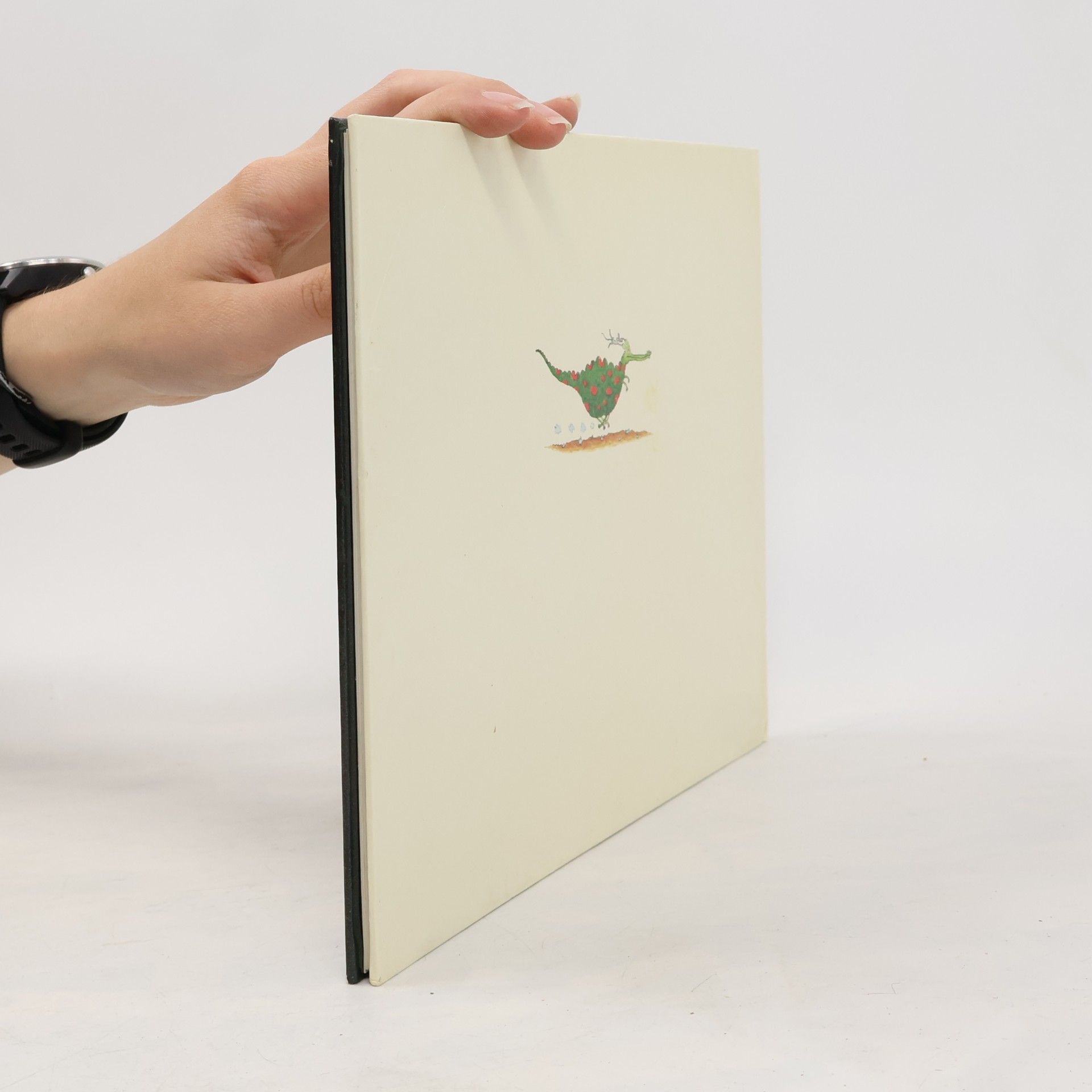 Walter Schmögner Das neue Drachenbuch
