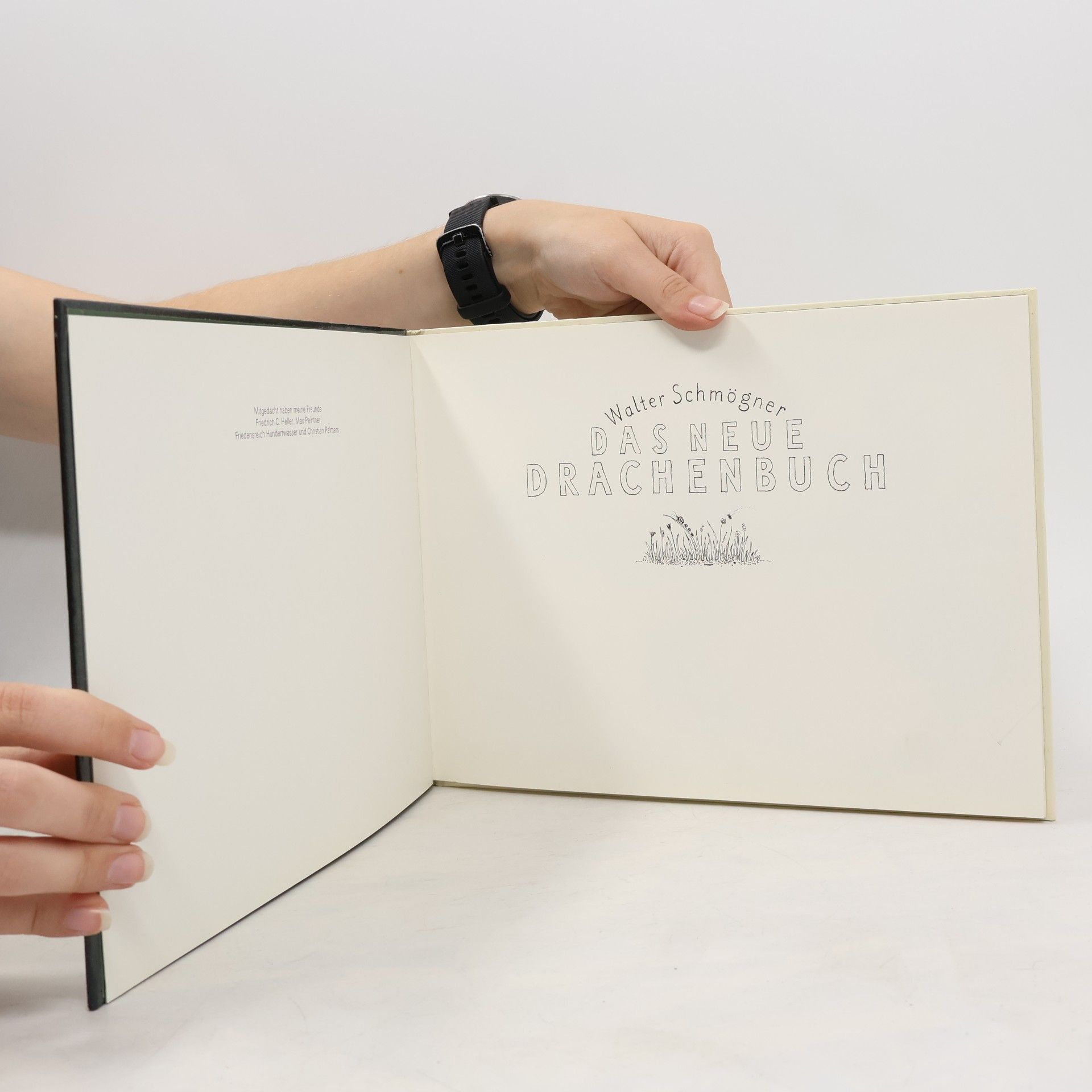 Walter Schmögner Das neue Drachenbuch