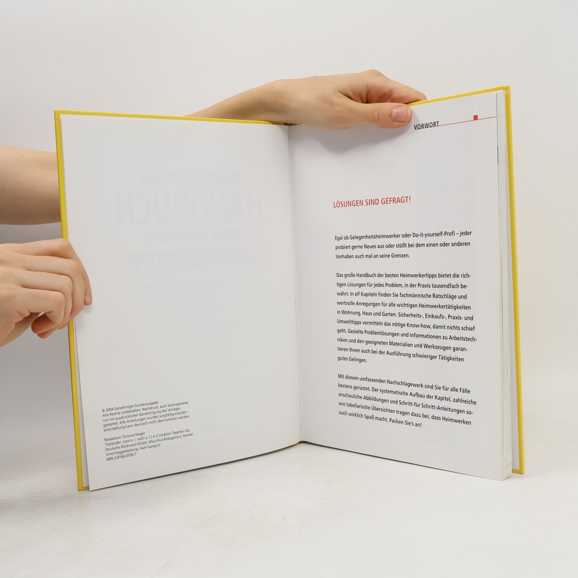 Auteurscollectief Das grosse Handbuch der besten Heimwerkertipps. Für jedes Problem die richtige Lösung
