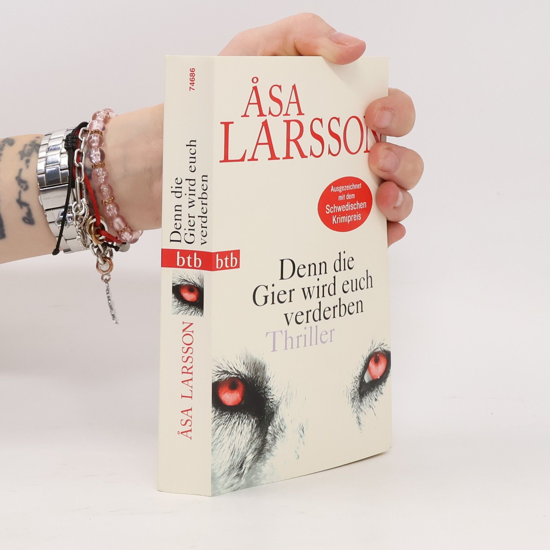 Åsa Larsson Denn die Gier wird euch verderben