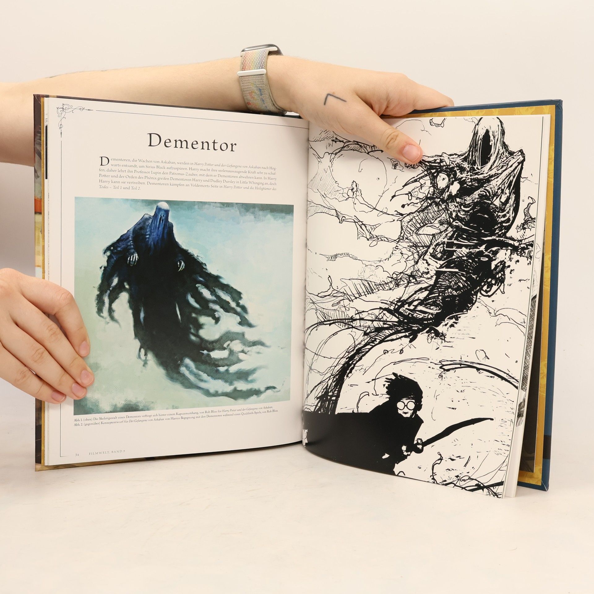 Jody Revenson Harry Potter Filmwelt Bd. 9: Alles über Kobolde, Hauselfen und dunkle Wesen