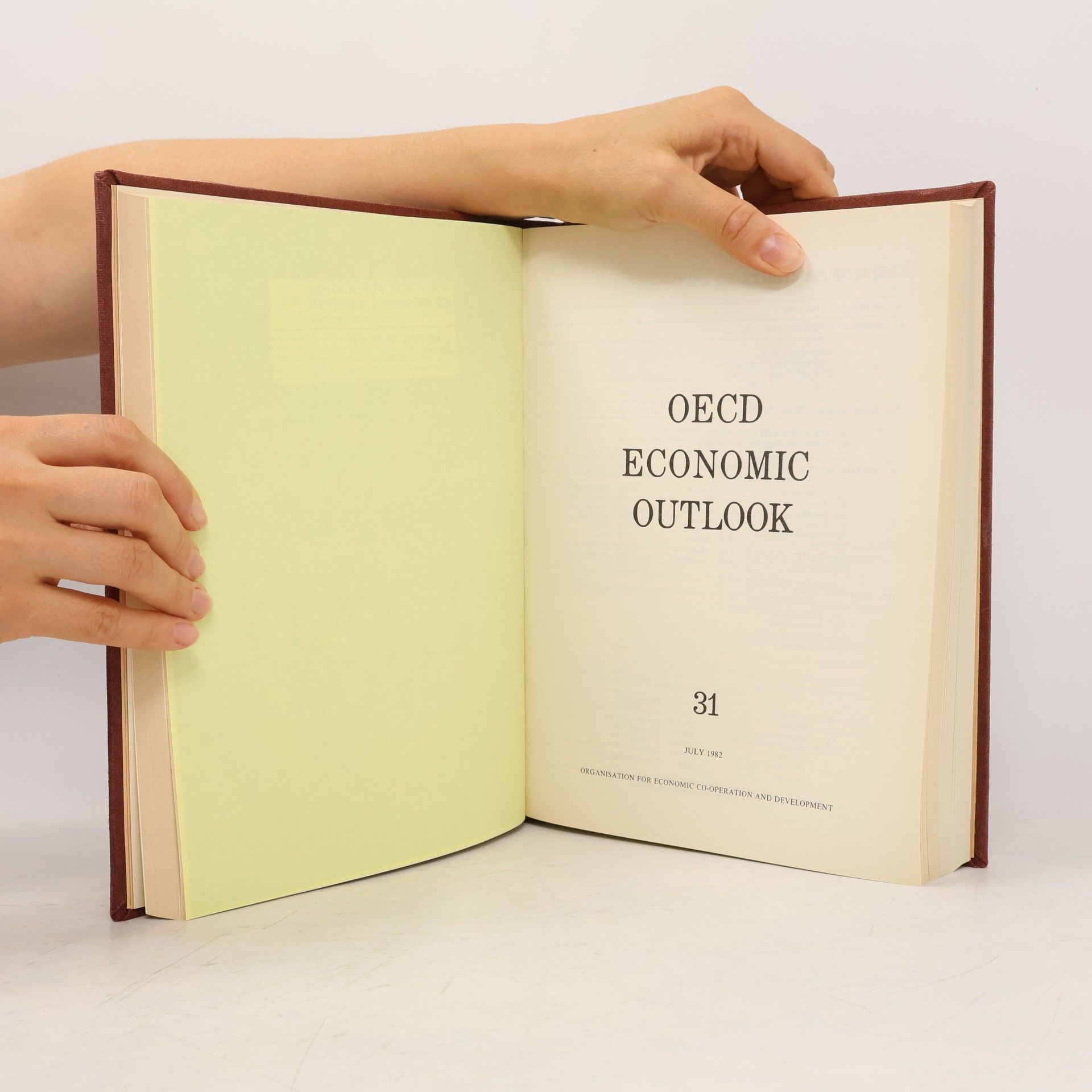Auteurscollectief OECD Economic Outlook 1981-1983