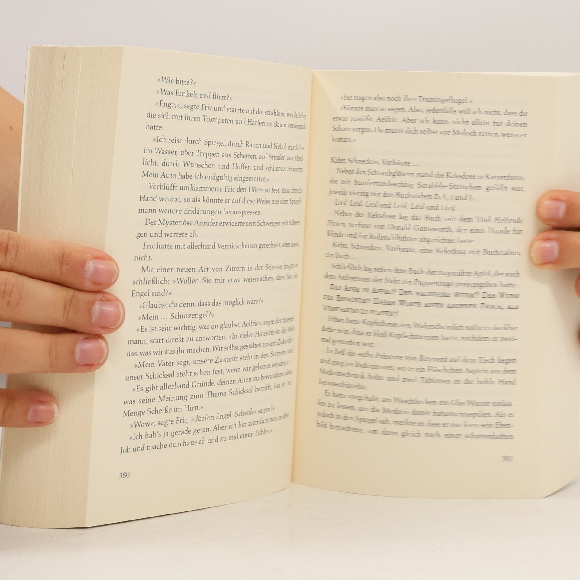 Dean Ray Koontz Der Wächter
