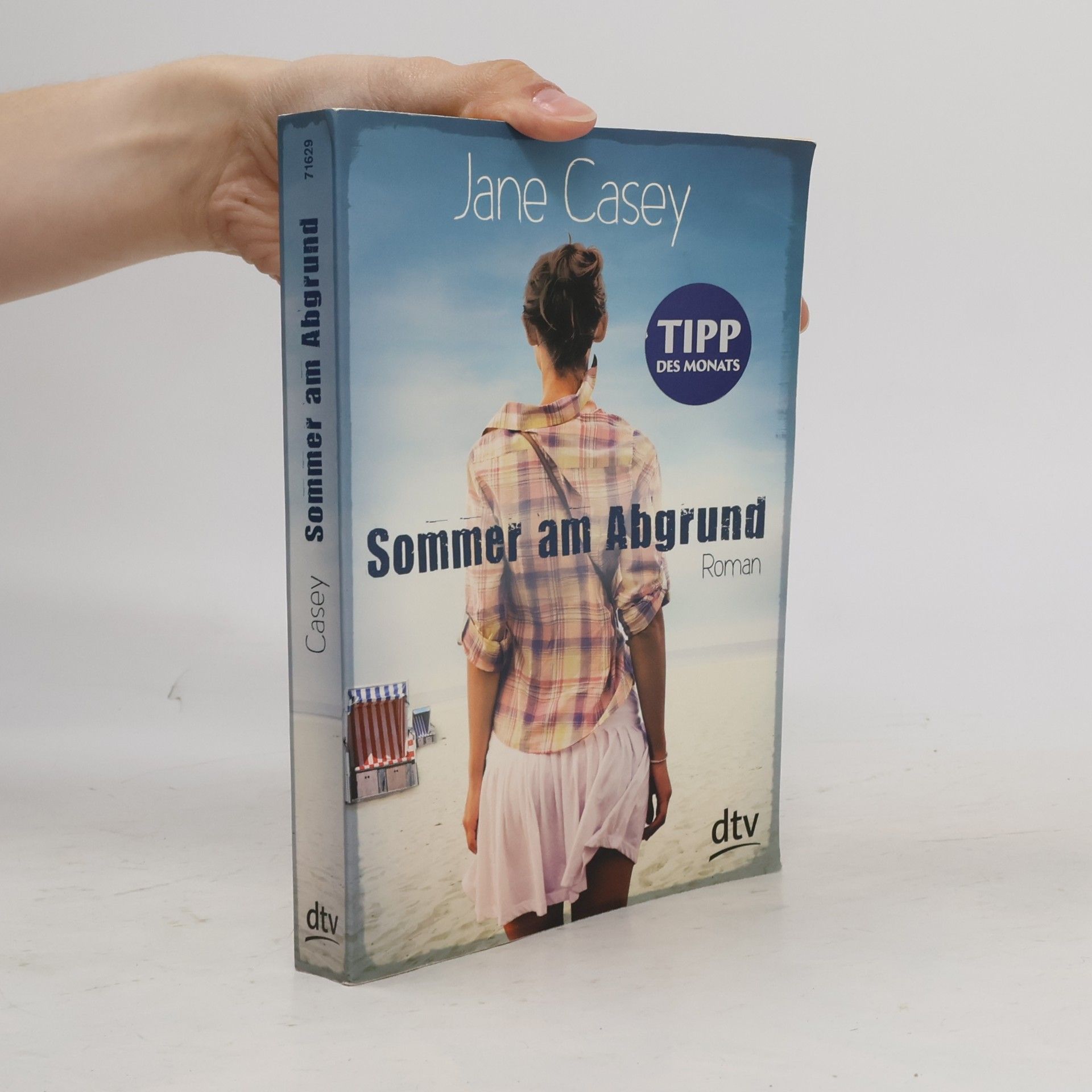 Jane Casey Sommer am Abgrund