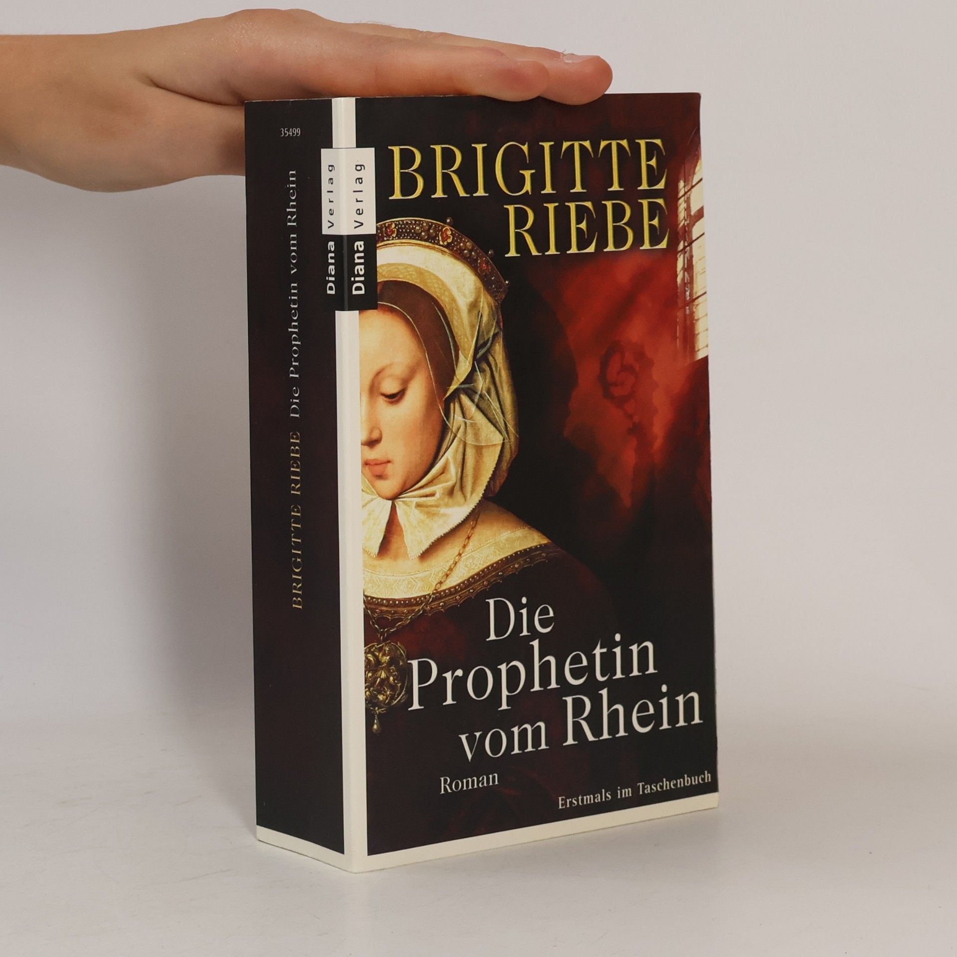Brigitte Riebe Die Prophetin vom Rhein